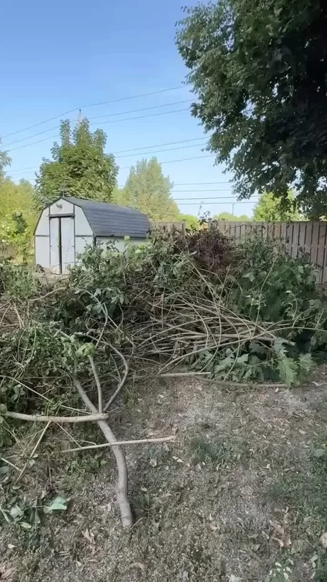 Looking to clean up your yard? We do tree removal aswell! Call 519 902-3275 or visit Junk Ranger’s website today! #junkremoval #junkranger #timelapse