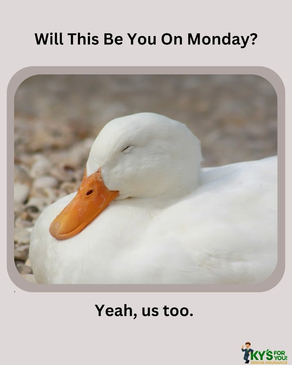 Daylight Saving Time begins on Sunday, March 8th, which means Monday afternoon naps will be in order for many of us! The good news amid all of that lost sleep? We will get an extra hour of light at the end of the day. As winter comes to a close, that