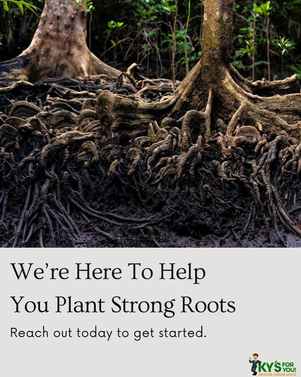 As your family tree grows, the importance of strong roots does too. Life insurance can do just that, providing financial stability and emotional peace of mind as you expand your family tree through marriage, children, and more. 

Whether you&rsquo;re