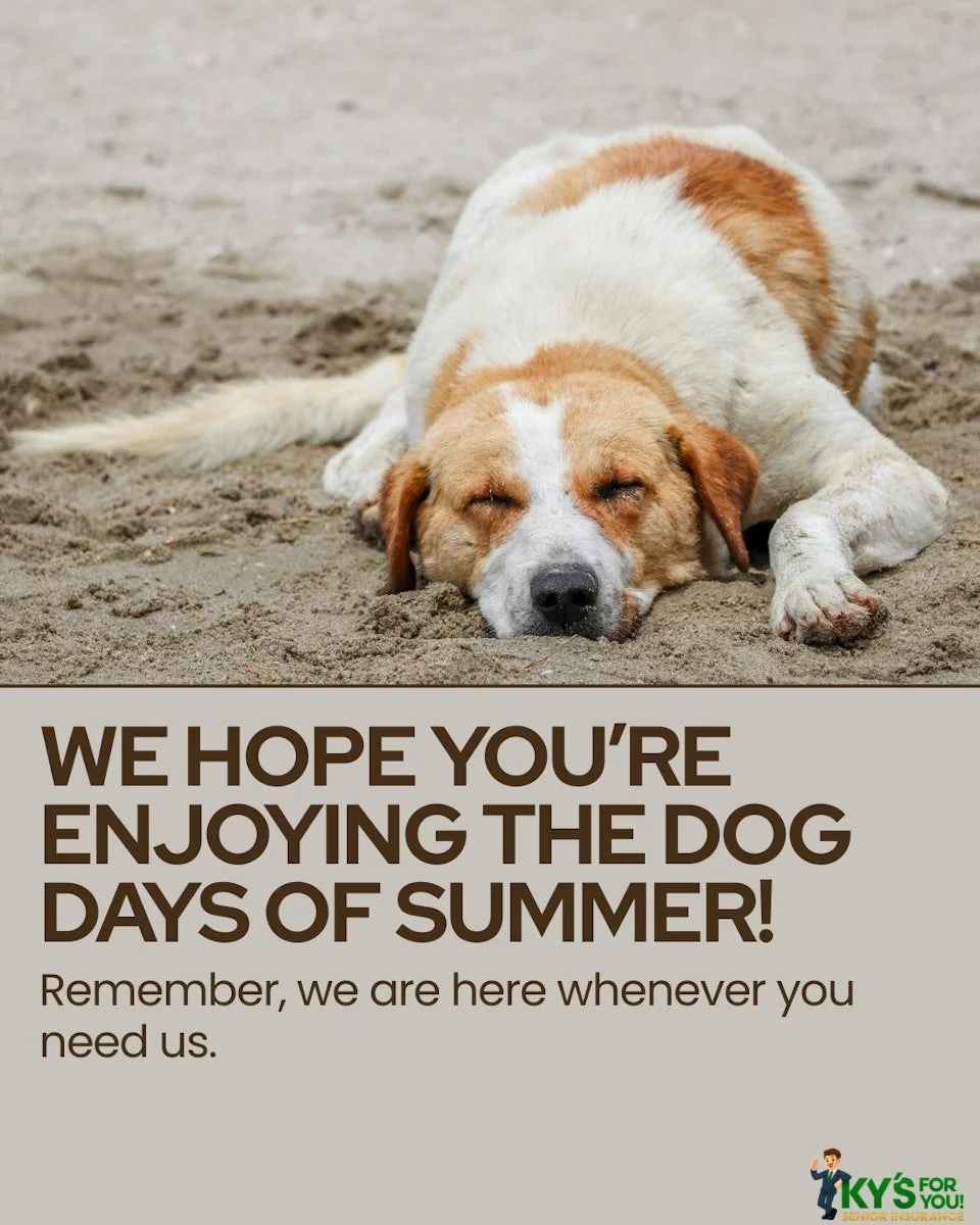 The dog days of summer are here, and we are just stopping by to say hello! 

We hope you&rsquo;re soaking up the sun, catching a cool breeze, or maybe even catching a nap or two on a sunny beach. 

Remember, if there is anything our team can help you