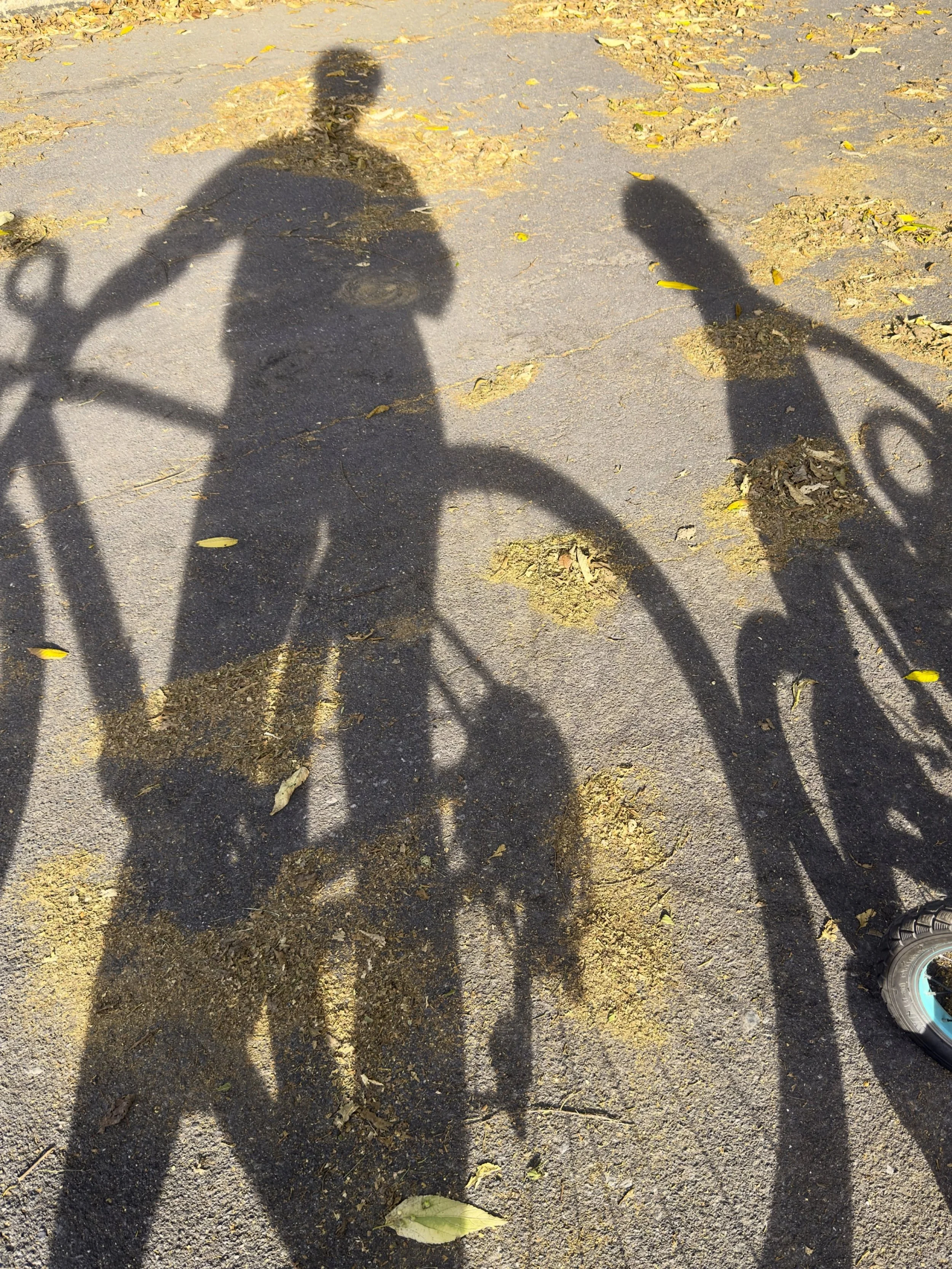 My favorite new pint-sized cycling partner is keeping pace with her mama these days. 🚲❤️🚲