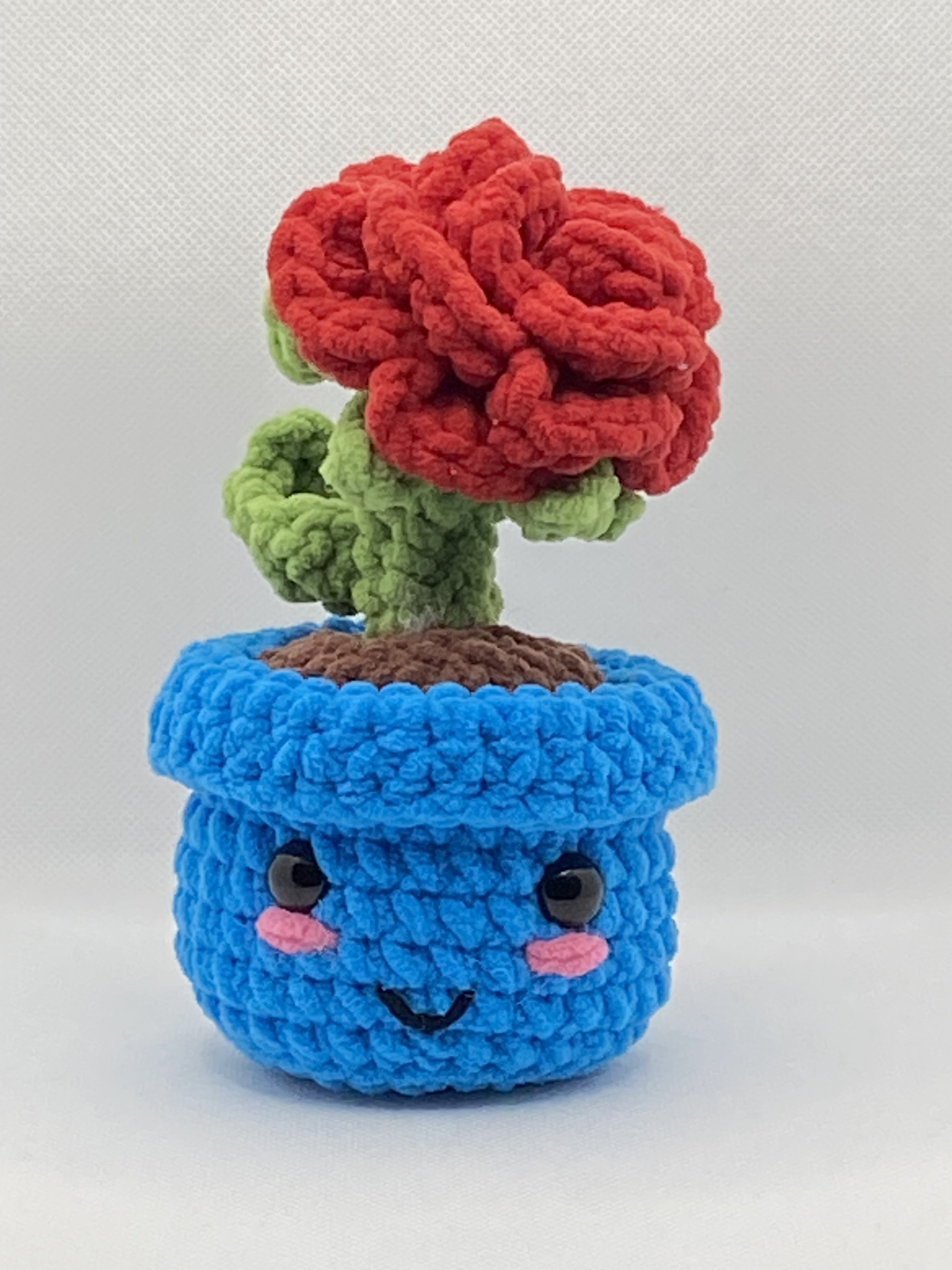 Rose in a pot