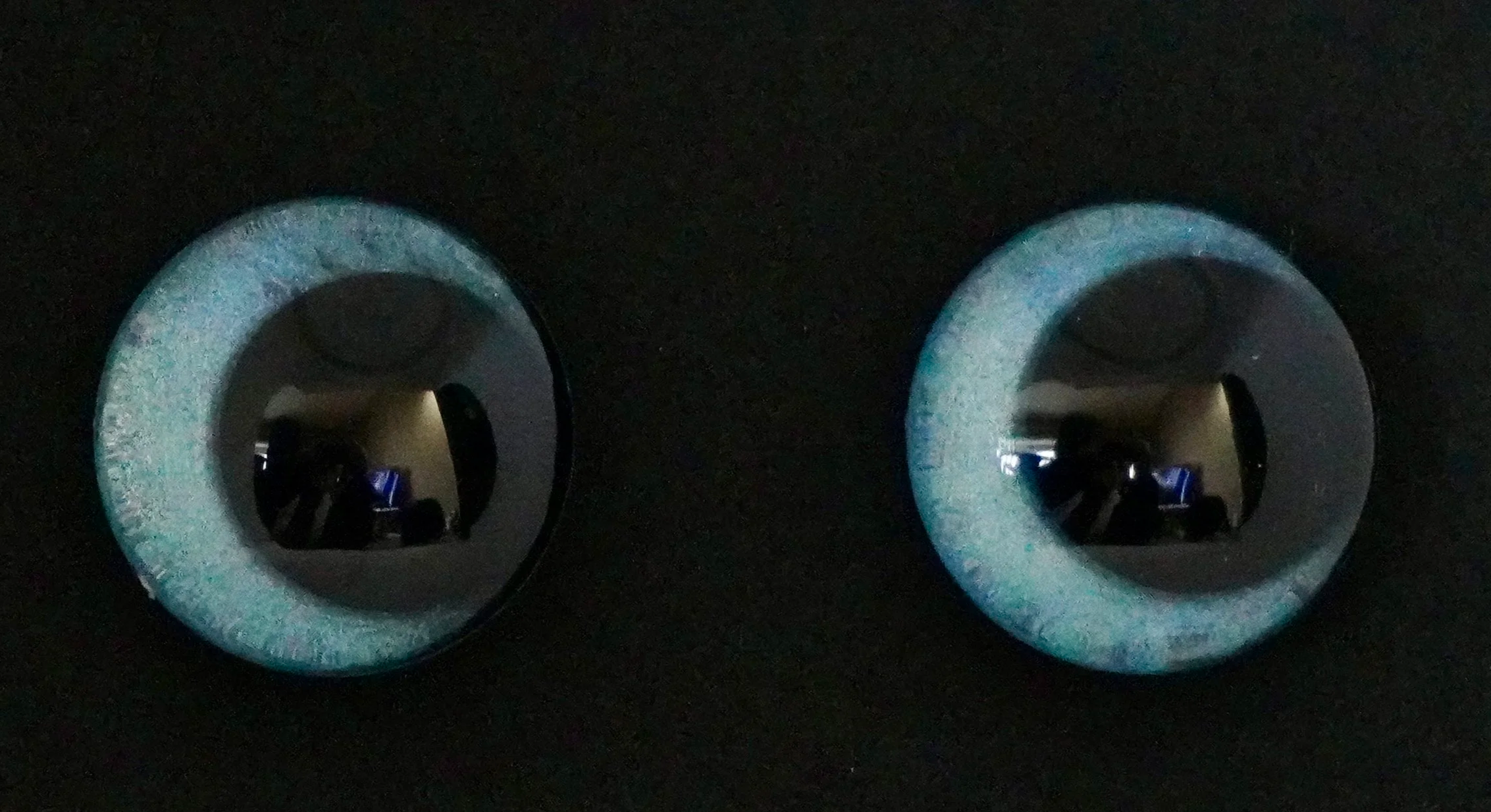 Hand-Painted 30mm Safety Eyes #8