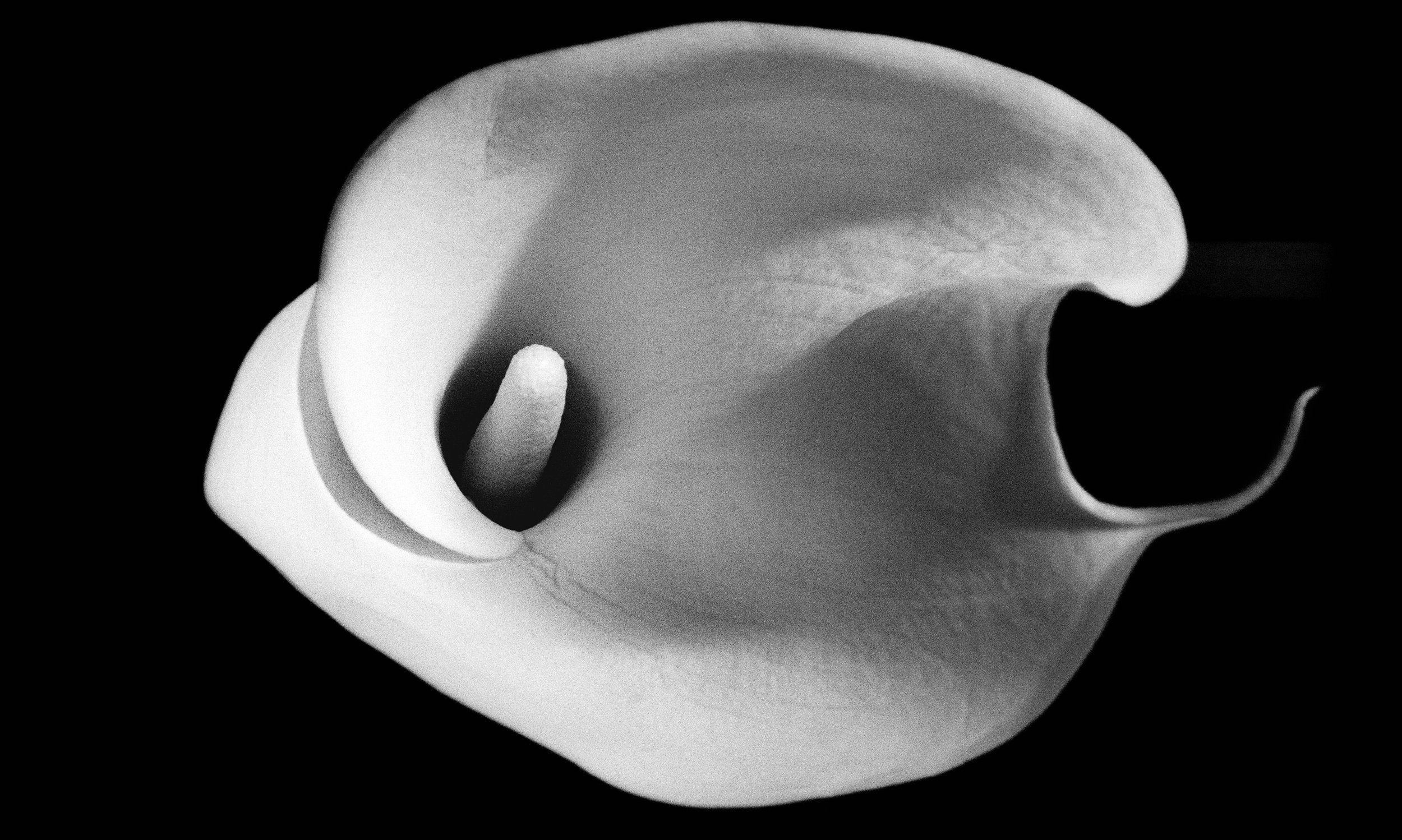 Fotografia d’arte e poesia | Dove parole incontrano immagini