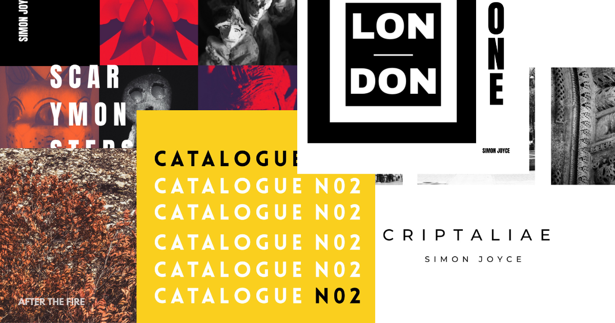 L’ascesa dei libri fotografici d’arte come oggetti da collezione