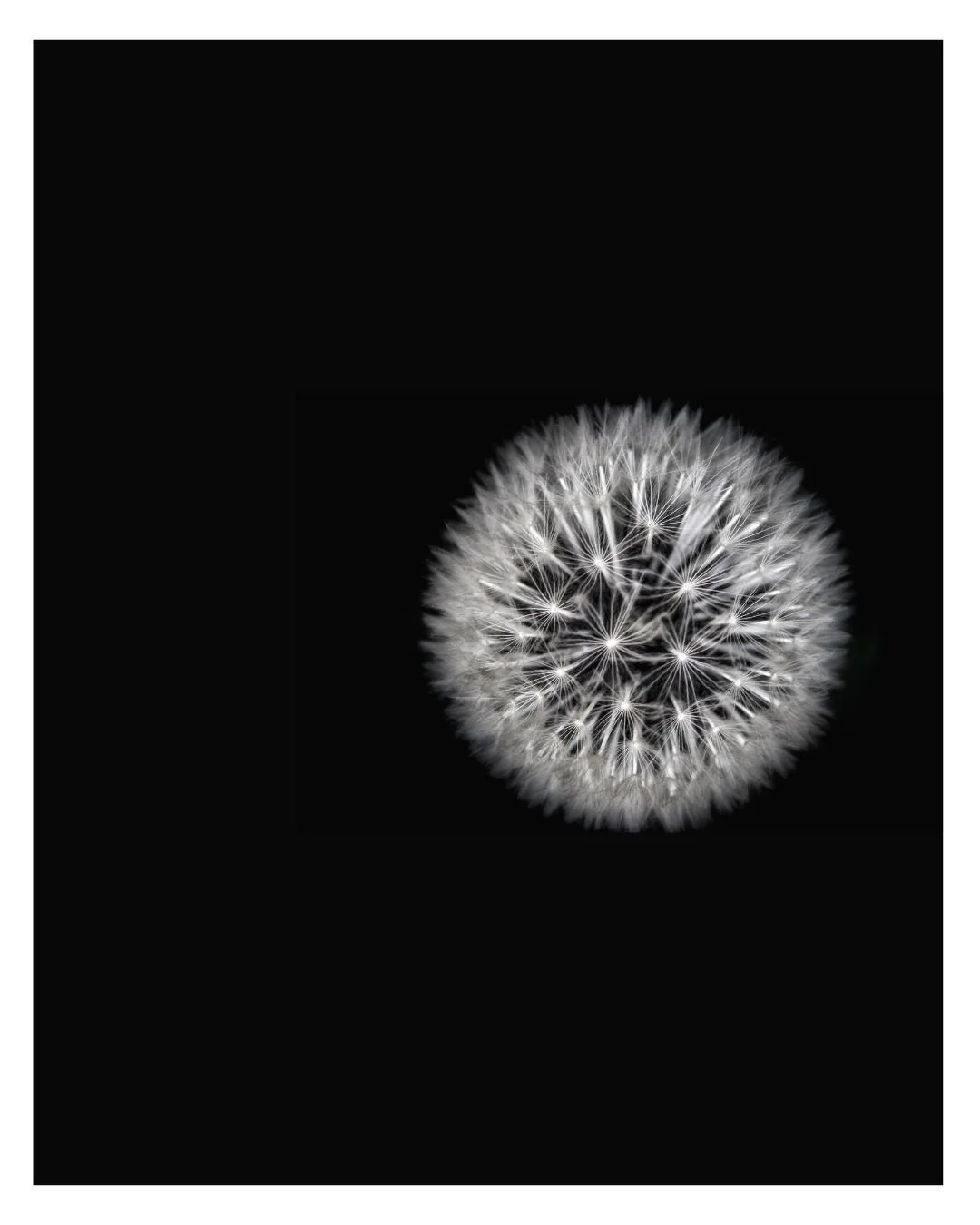 Minimalism in Fine Art Photography | Speak Through Images