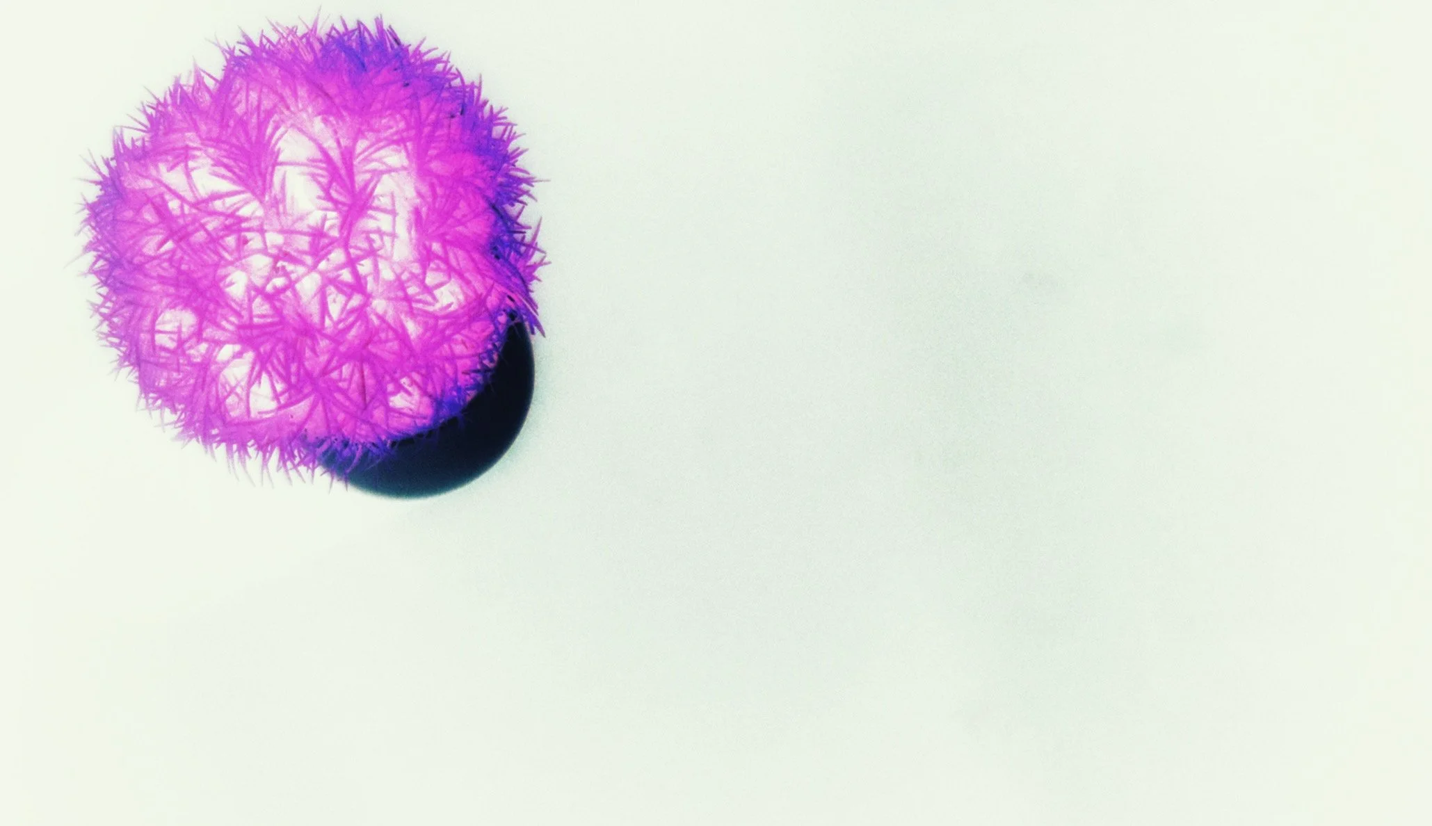 Negative Space in Contemporary Photography: Balance, Perception, and the Psychology of the Gaze