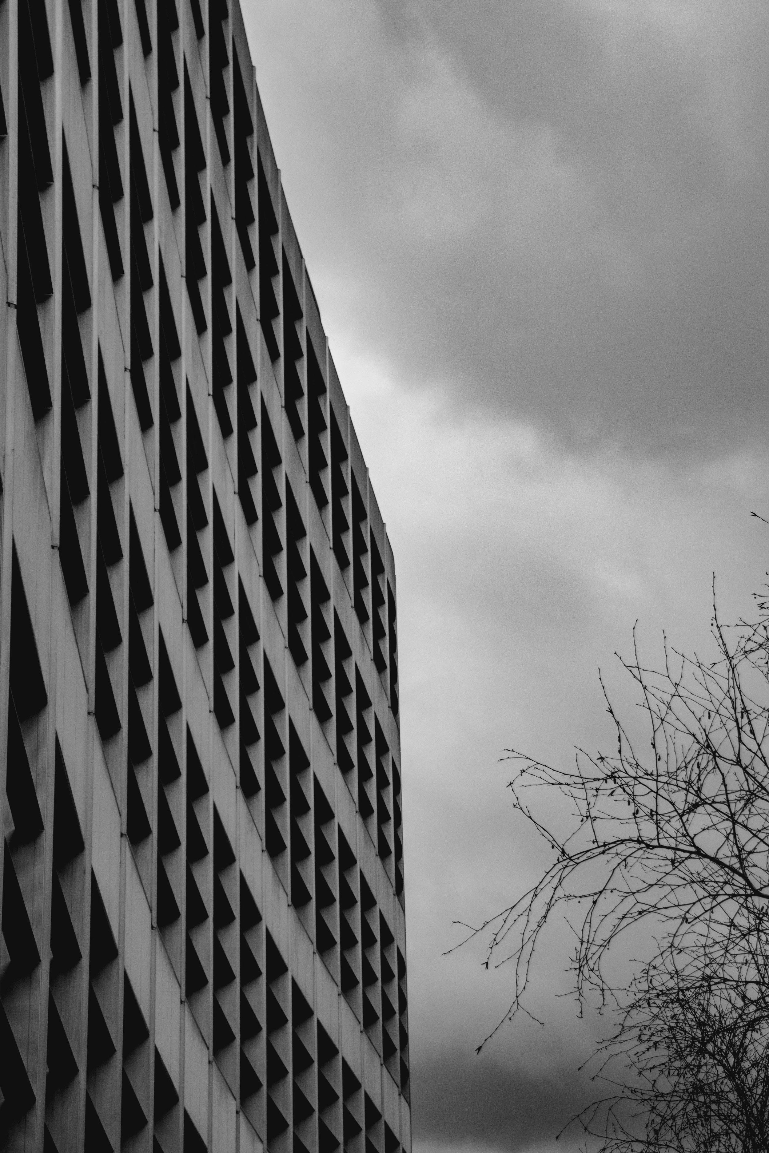 The photographic composition: the invisible order that gives meaning to the gaze