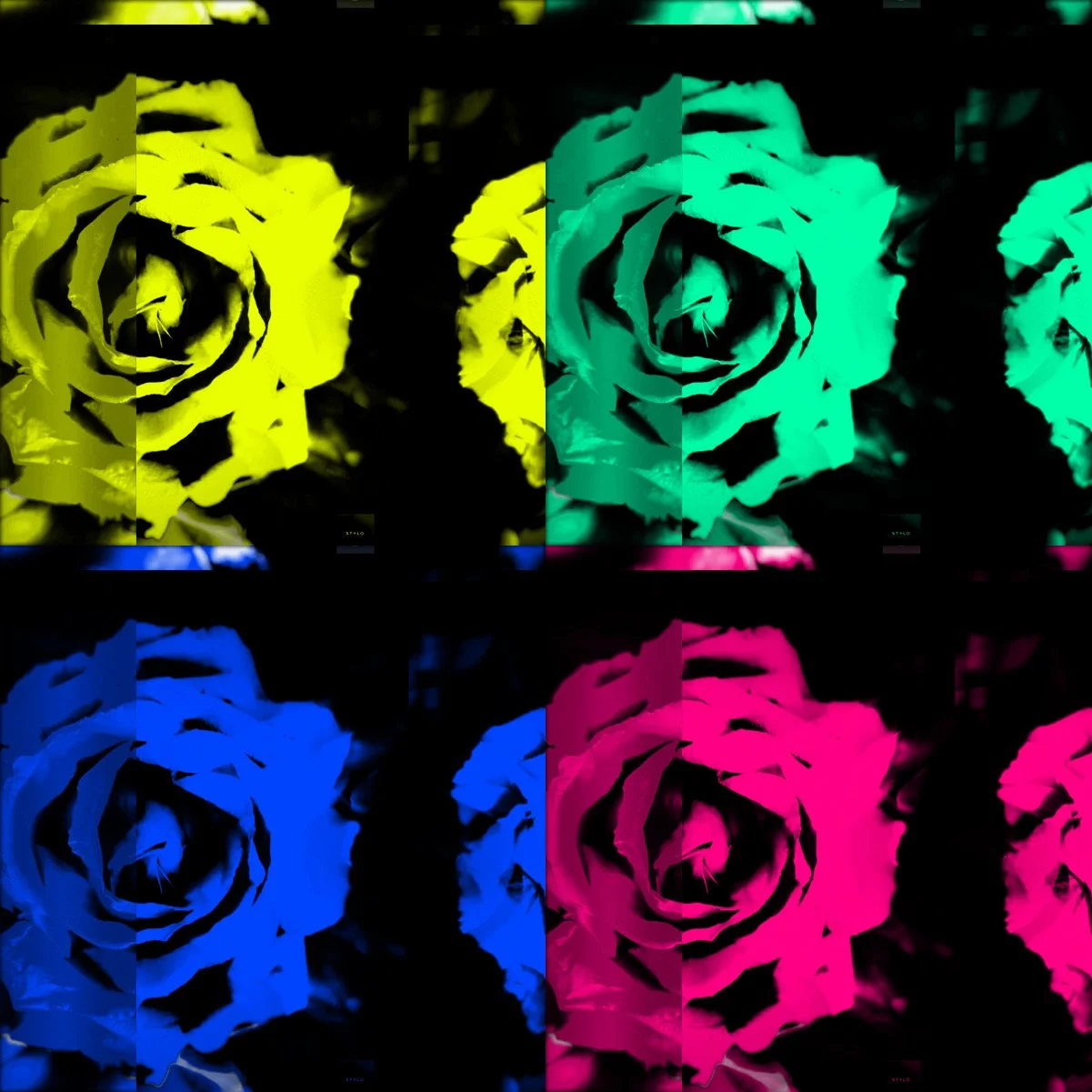 The Role of Authorial Photography in Shaping Interior Spaces