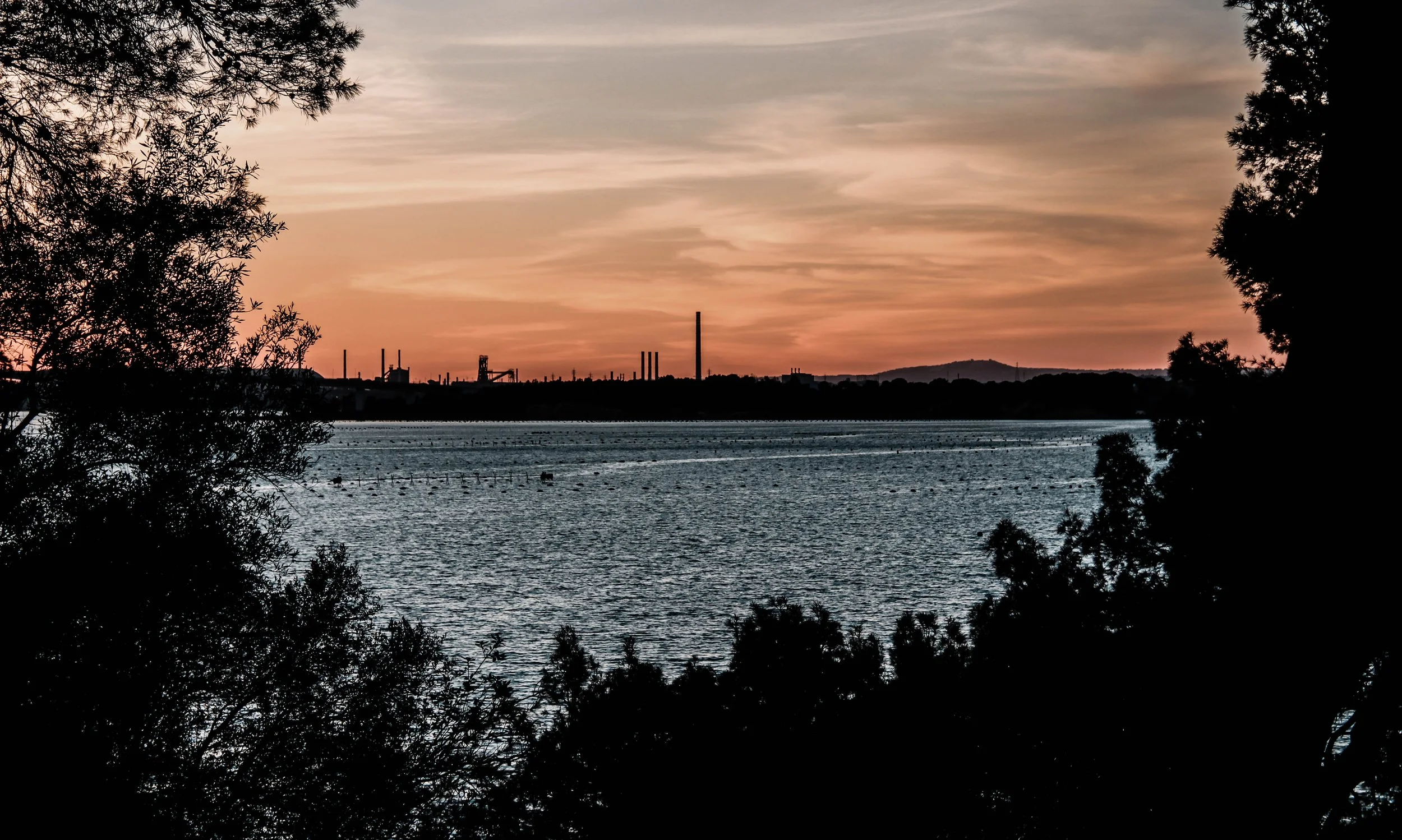 Why We Photograph: Between Control and Surrender