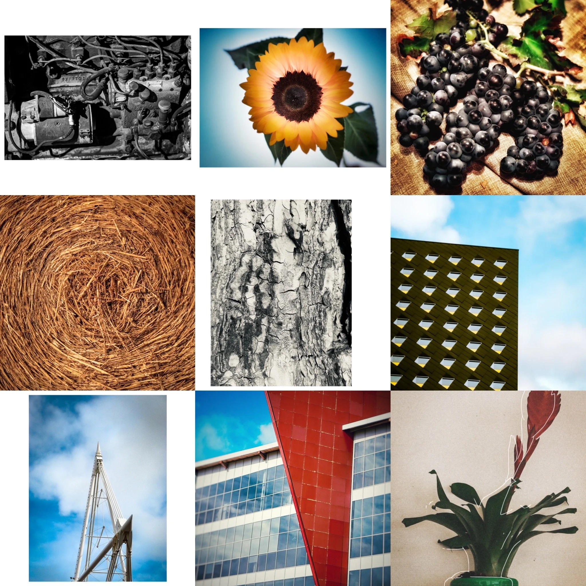 The Human Process Behind a Photograph — Why Selling Prints Is Also a Human Act