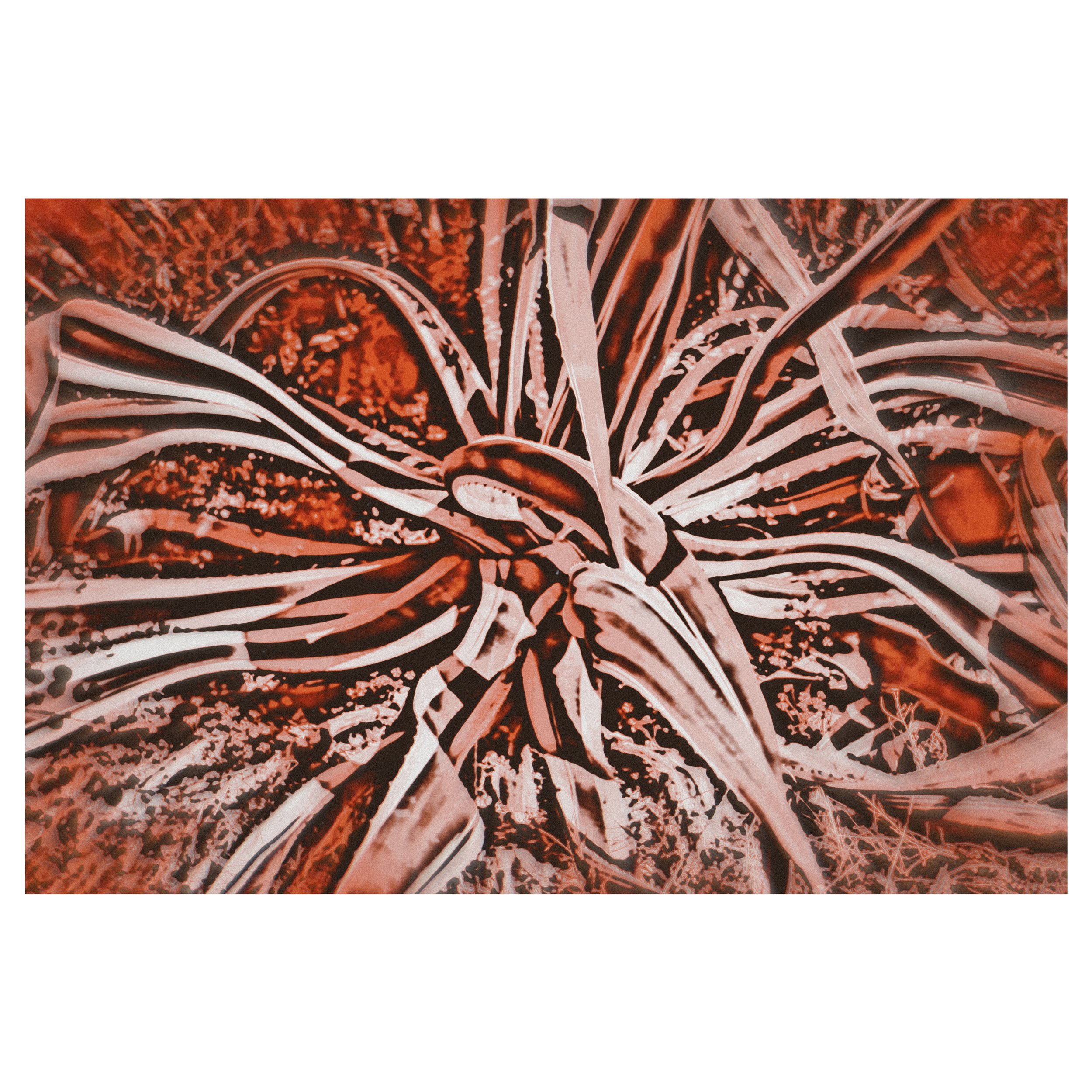 Il potere silenzioso della fotografia astratta negli interni contemporanei