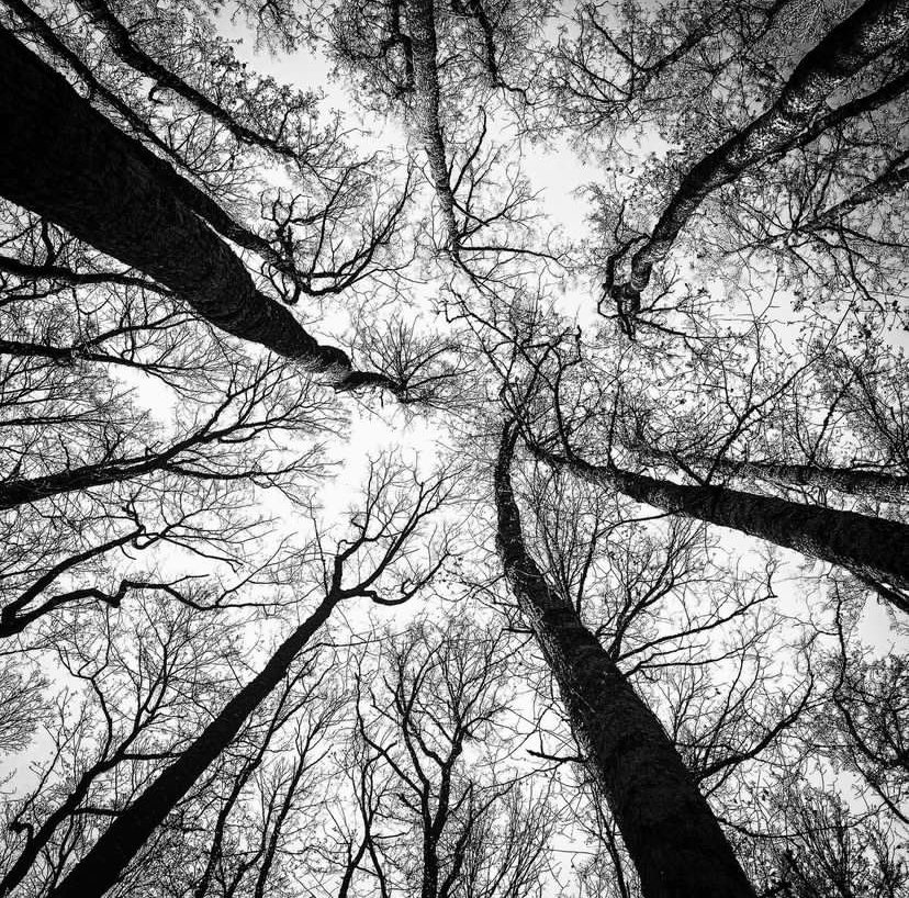 Il fotografo sta diventando il contenuto?