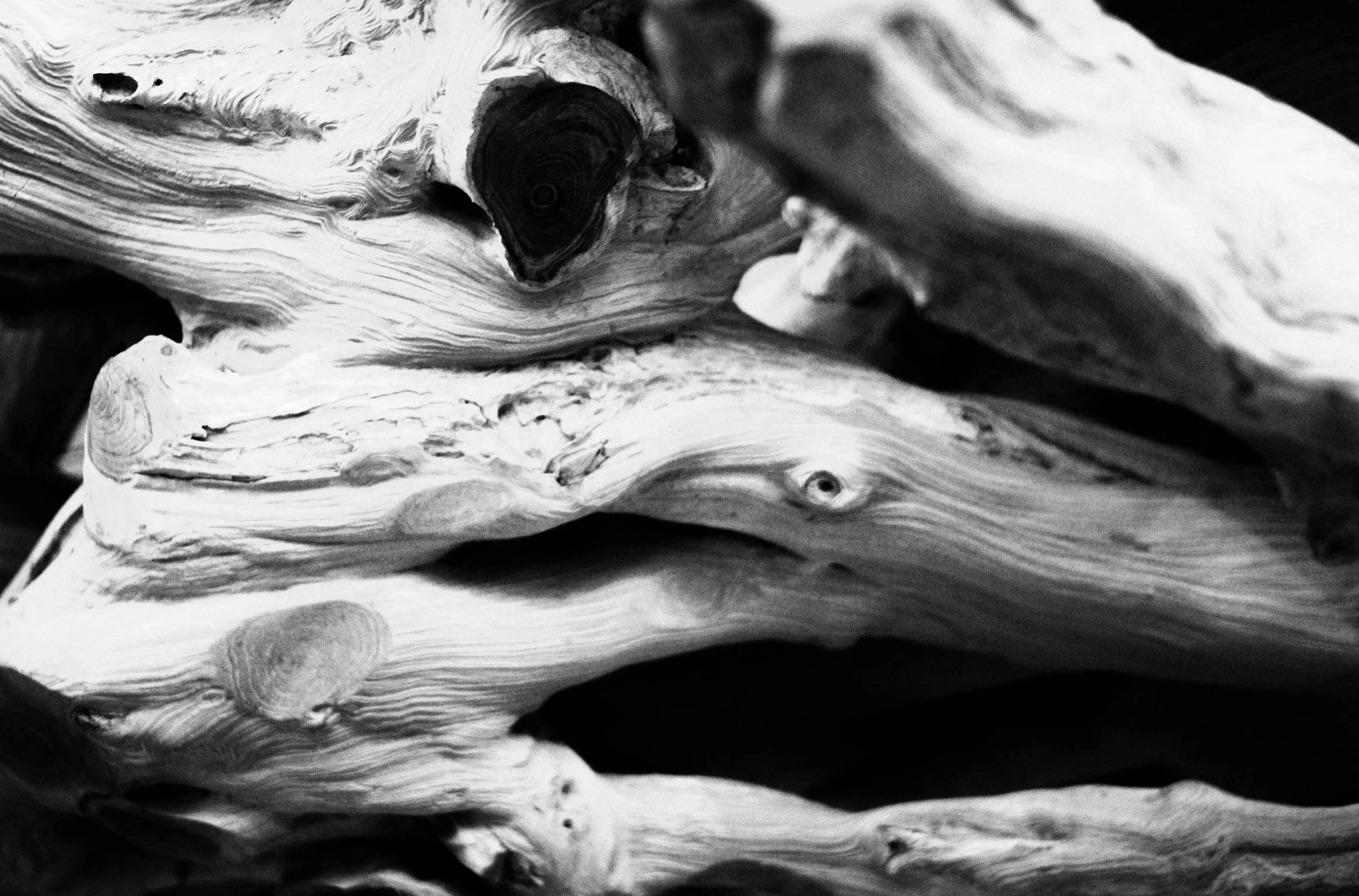 One Year of Weekly Writing: What Photography Taught Me Beyond the Camera