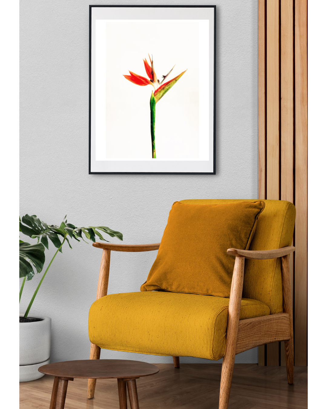 Progetto senza titolo (9).png