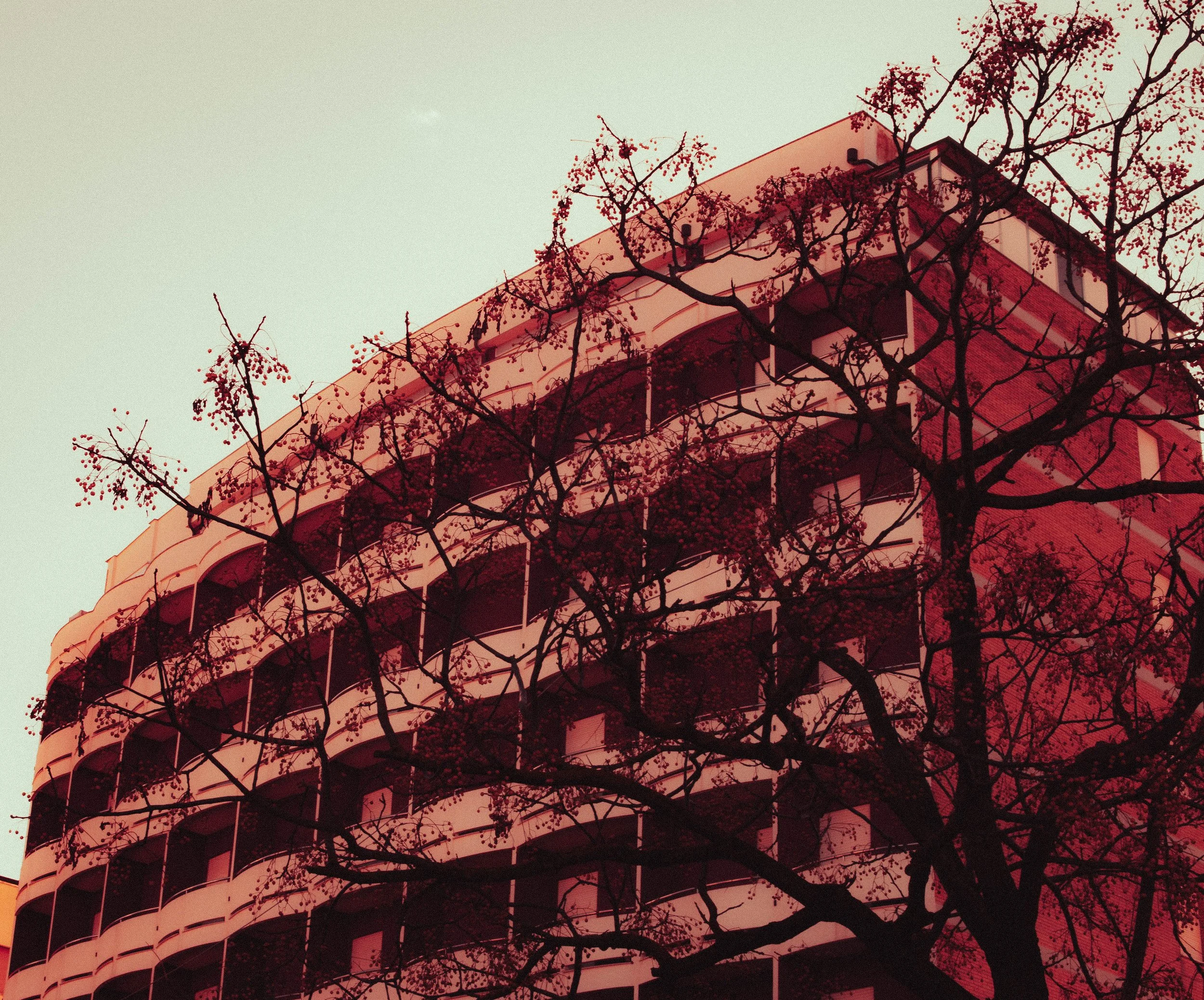 A close-up of a hotel in Riccione (Italy)