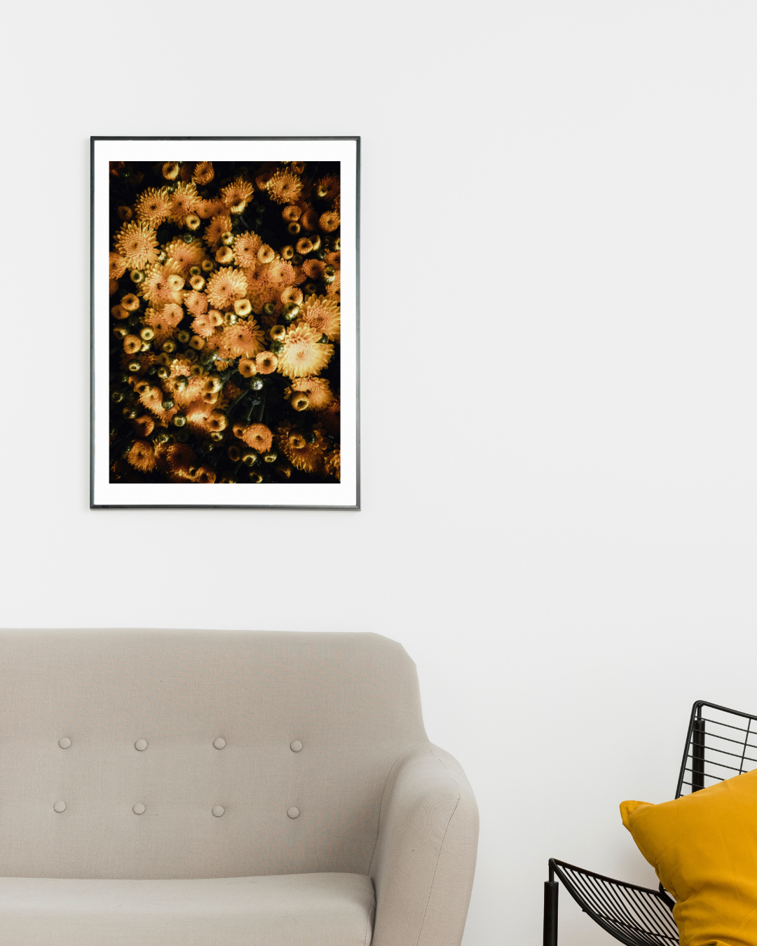 Progetto senza titolo (6).png