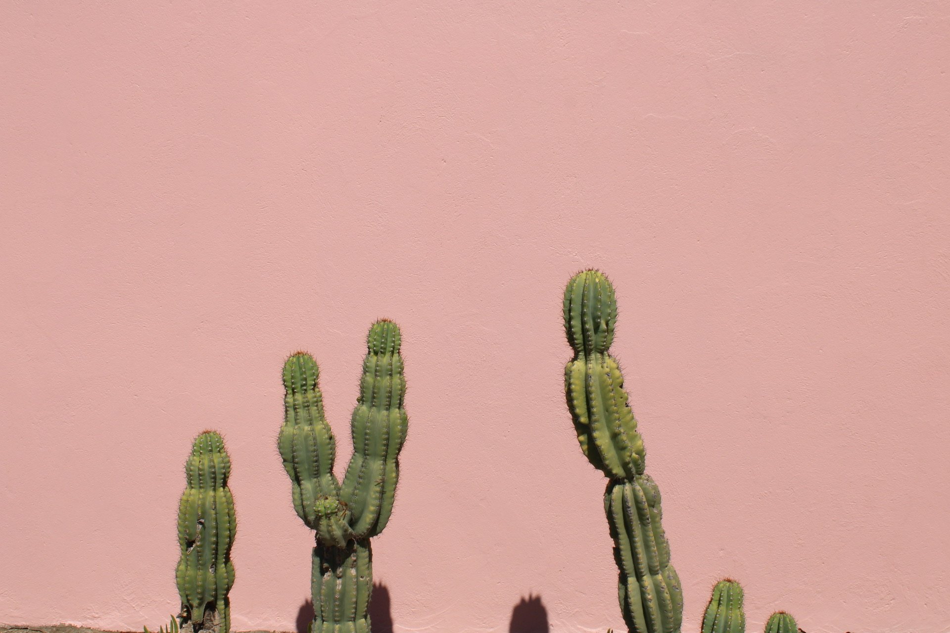 bachelorette-party-planning-arizona