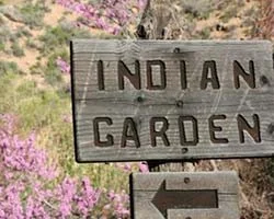 Indian Garden Cultural Landscape Report, Grand Canyon National Park