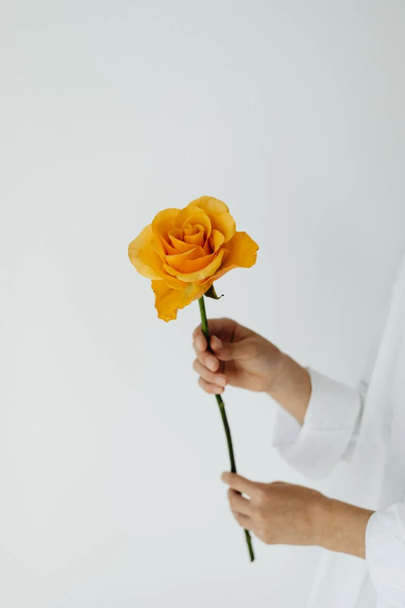 Scents we’re loving