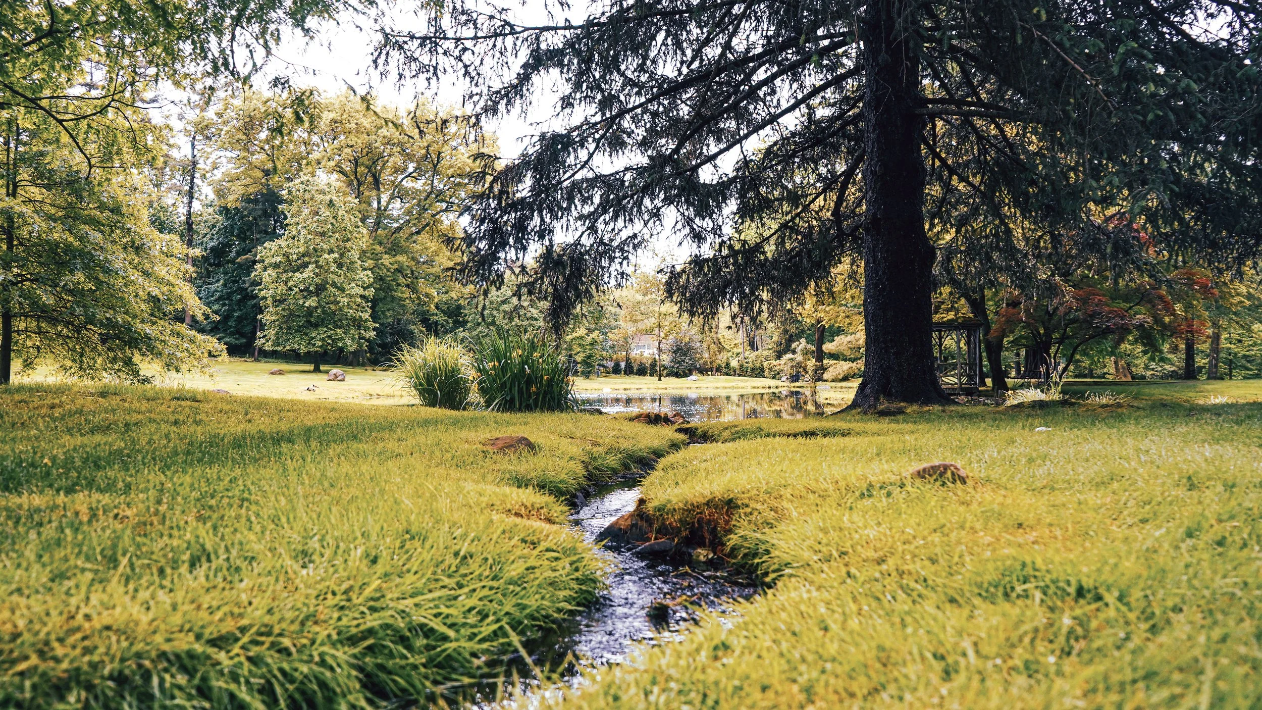 A peaceful park scene with a small stream flowing through lush green grass, trees with autumn-colored leaves, and a pond in the background under a cloudy sky.