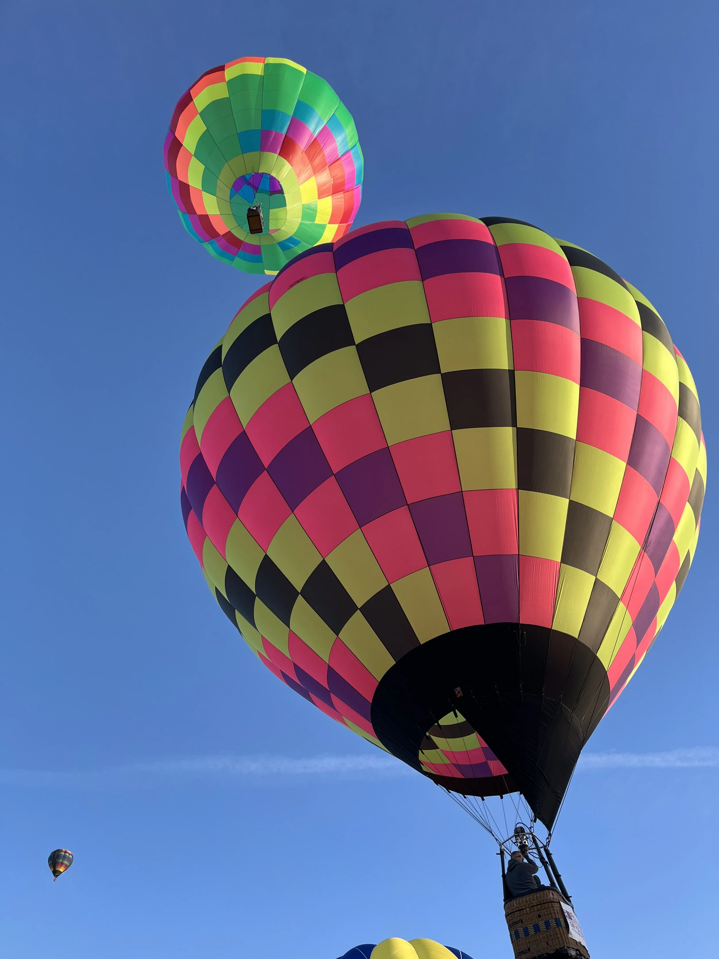 IMG_3525.jpeg