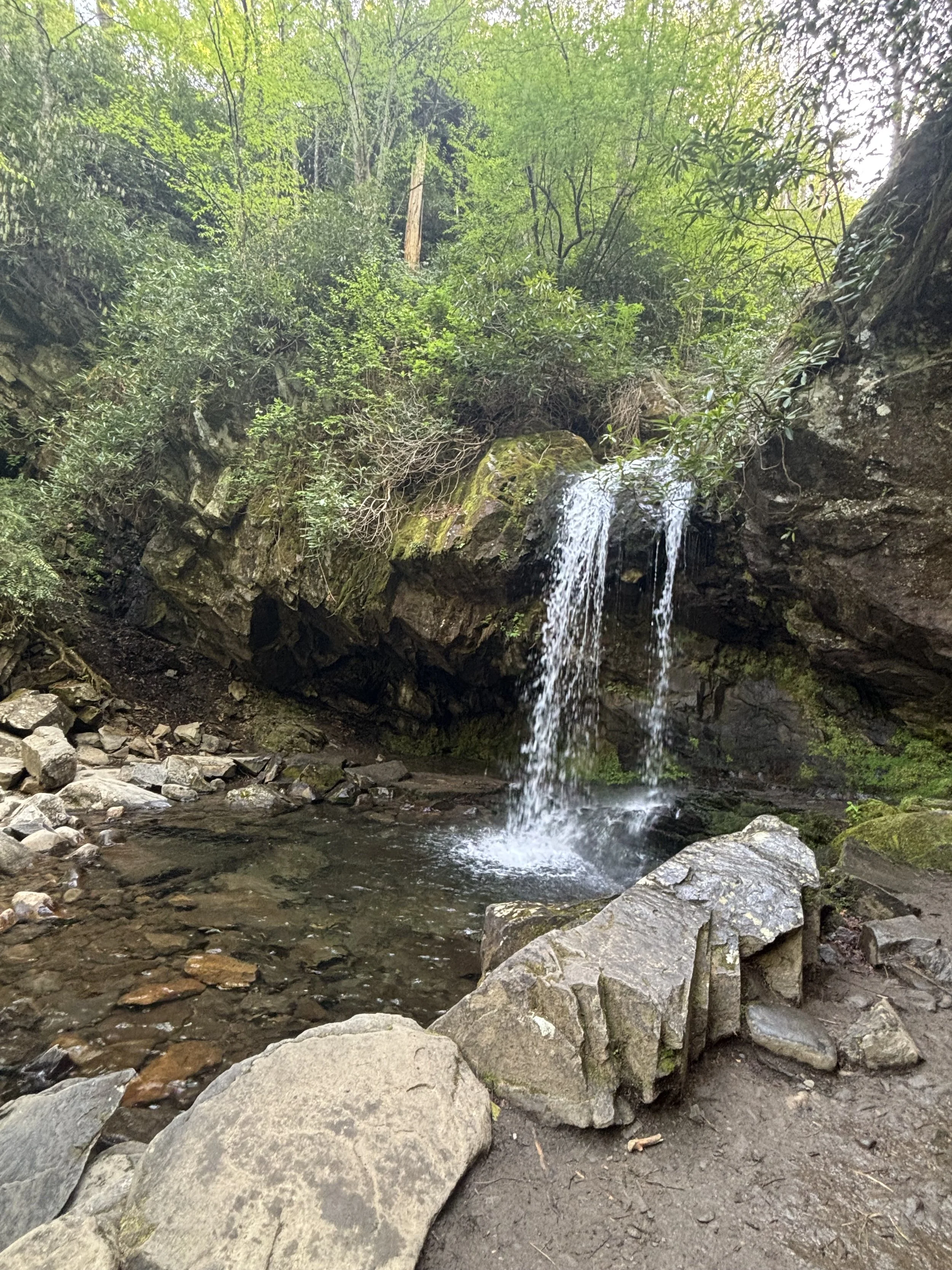 IMG_4803.jpeg