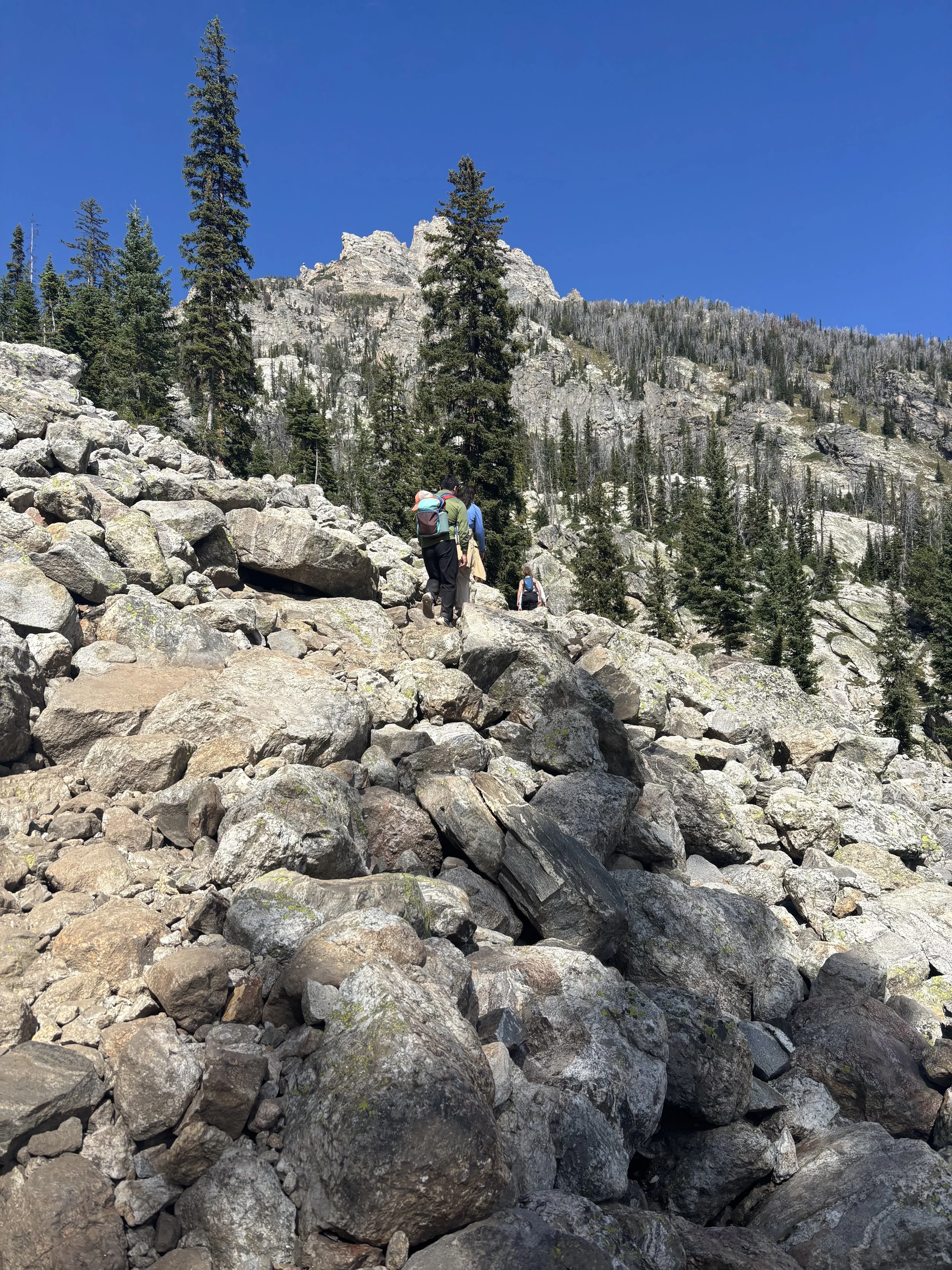 IMG_7024.jpeg