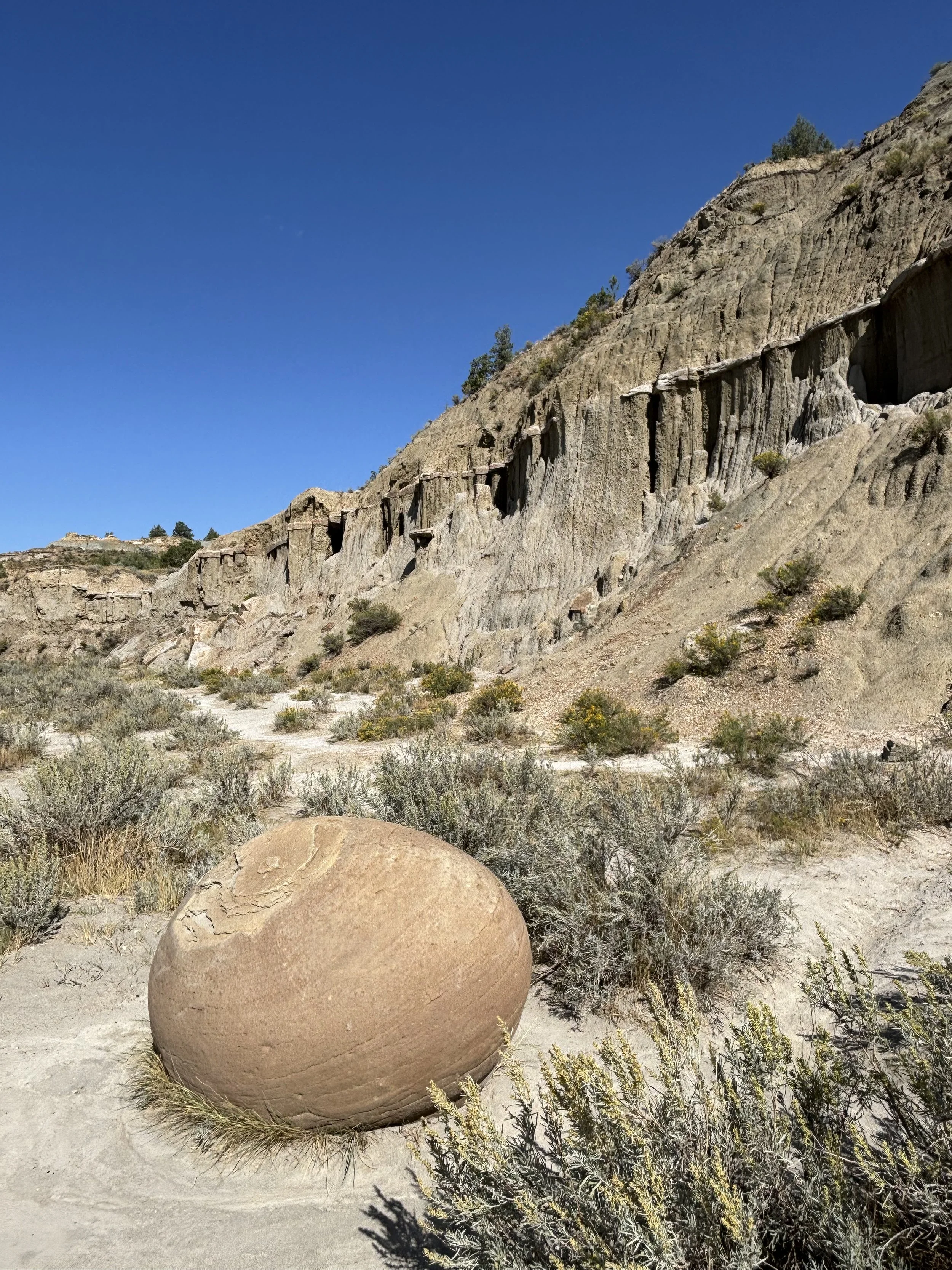 IMG_7504.jpeg