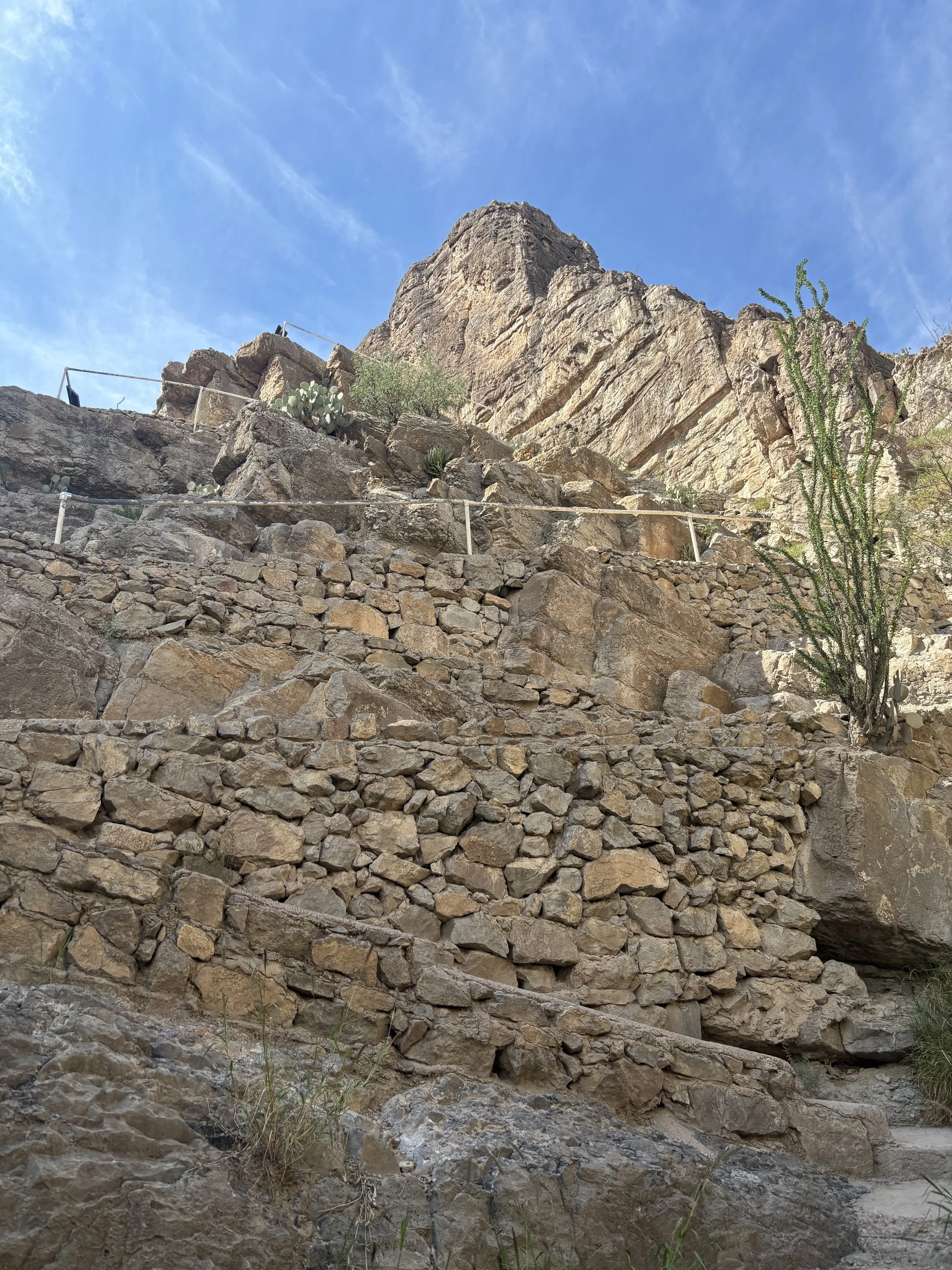 IMG_8163.jpeg