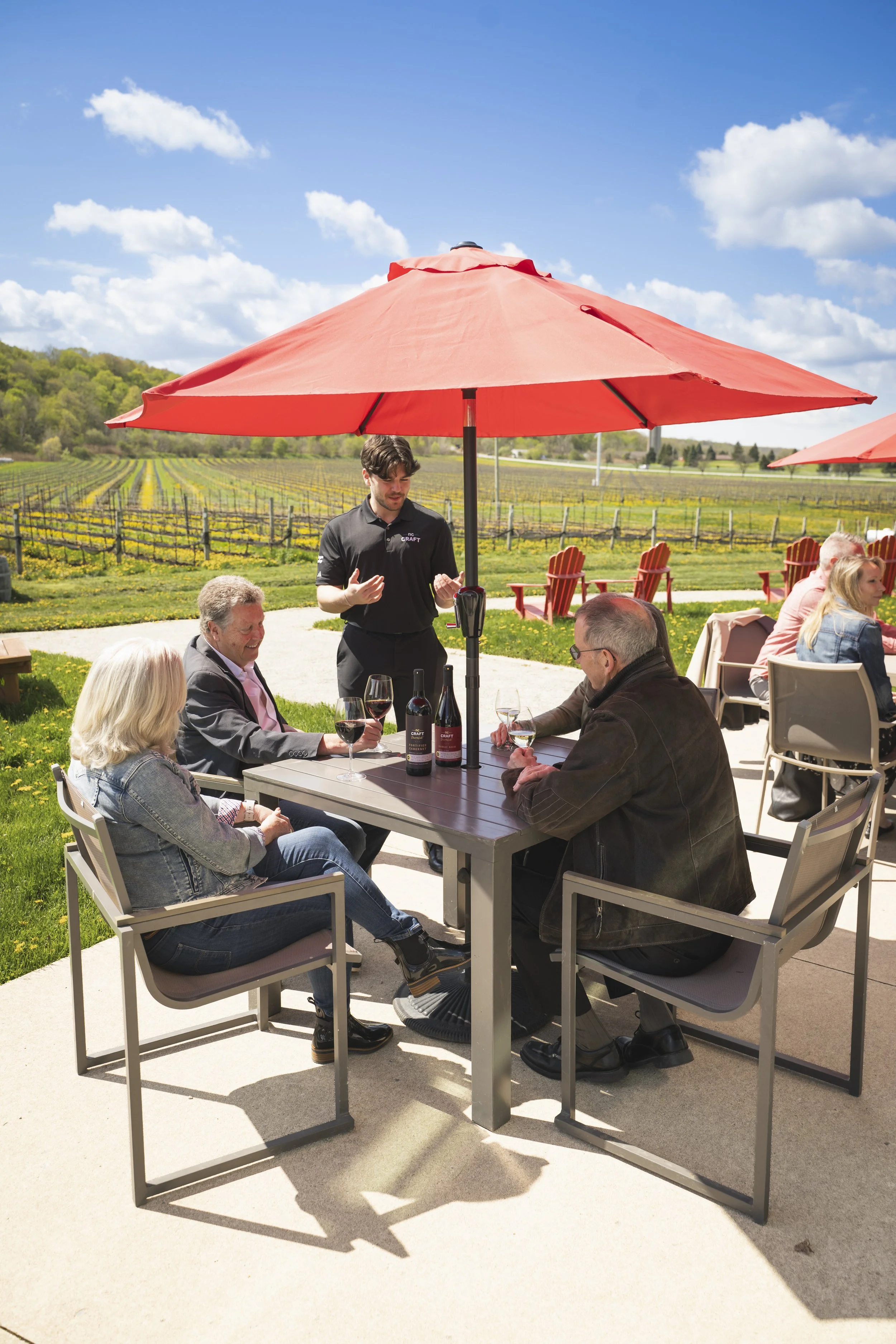 A group of people sitting at a table outside on a vineyard