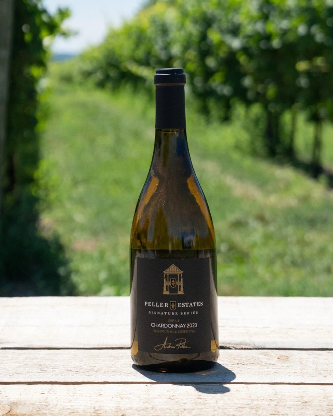 i4C is here, and we're ready to celebrate Cool Climate Chardonnay! ✨

This year at @Coolchardonnay, @PellerWines is showcasing their Andrew Peller Signature Series Chardonnay Sur Lie 2023 VQA. It's a vibrant mix of lemon curd, tropical fruit, and sub