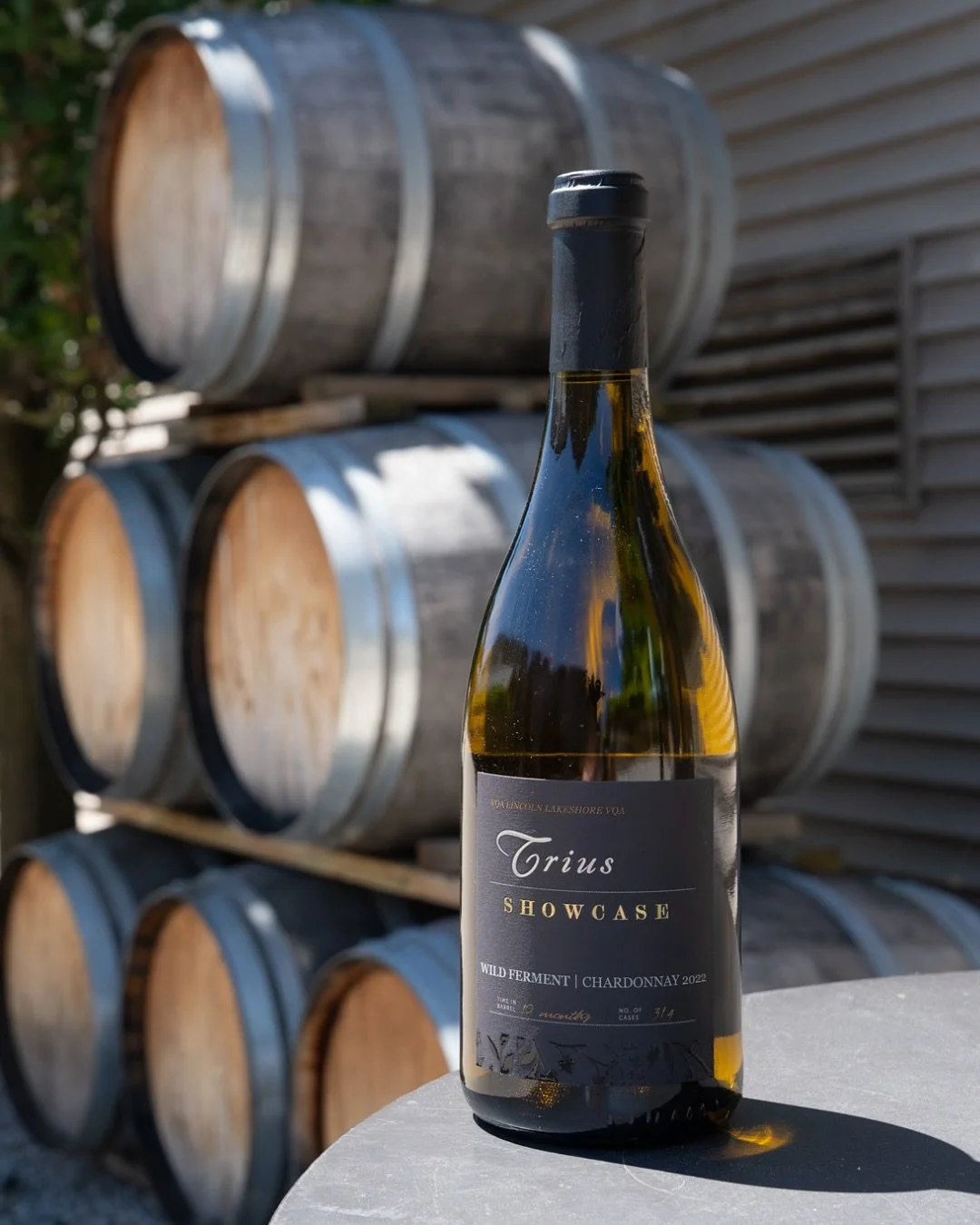 This weekend, @triuswines is highlighting their Showcase Wild Ferment Chardonnay 2022 VQA, at @CoolChardonnay.

Crafted from grapes grown in the historic Watching Tree Vineyard, planted in 1989. With clone 95 and 96 Chardonnay vines rooted in what wa