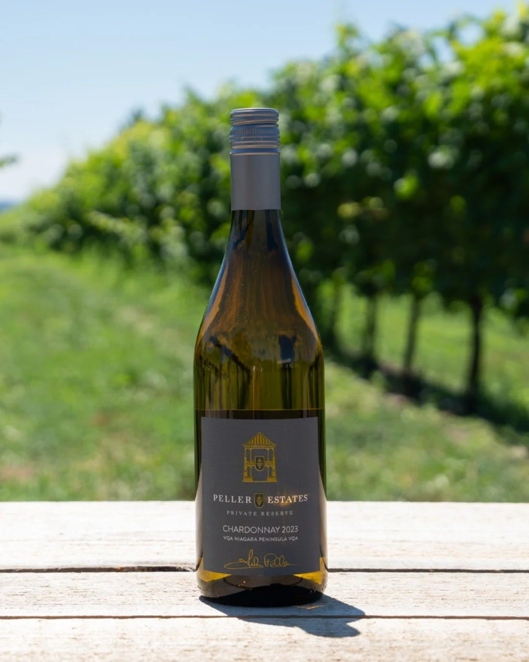 Chardonnay lovers, this one&rsquo;s for you. 🥂

As we continue to celebrate International Cool Climate Chardonnay (i4C), we&rsquo;re spotlighting the stunning Chardonnays crafted by the Wineries of Niagara-on-the-Lake.

From @PellerWines, the Privat