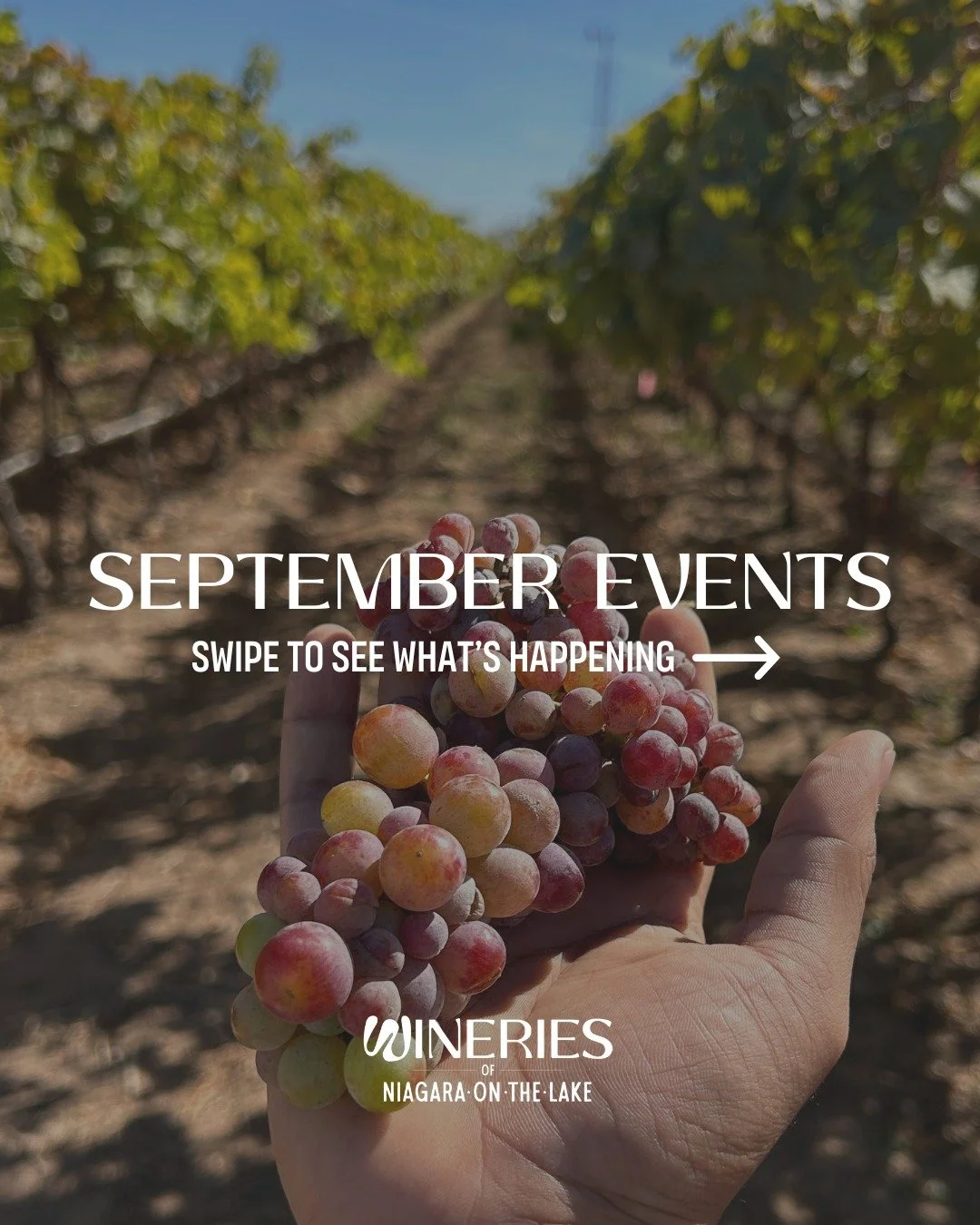September is shaping up to be one of the busiest (and most exciting!) months at the Wineries of Niagara-on-the-Lake&mdash;and you&rsquo;re invited to sip, swirl, and celebrate it all! 🍷