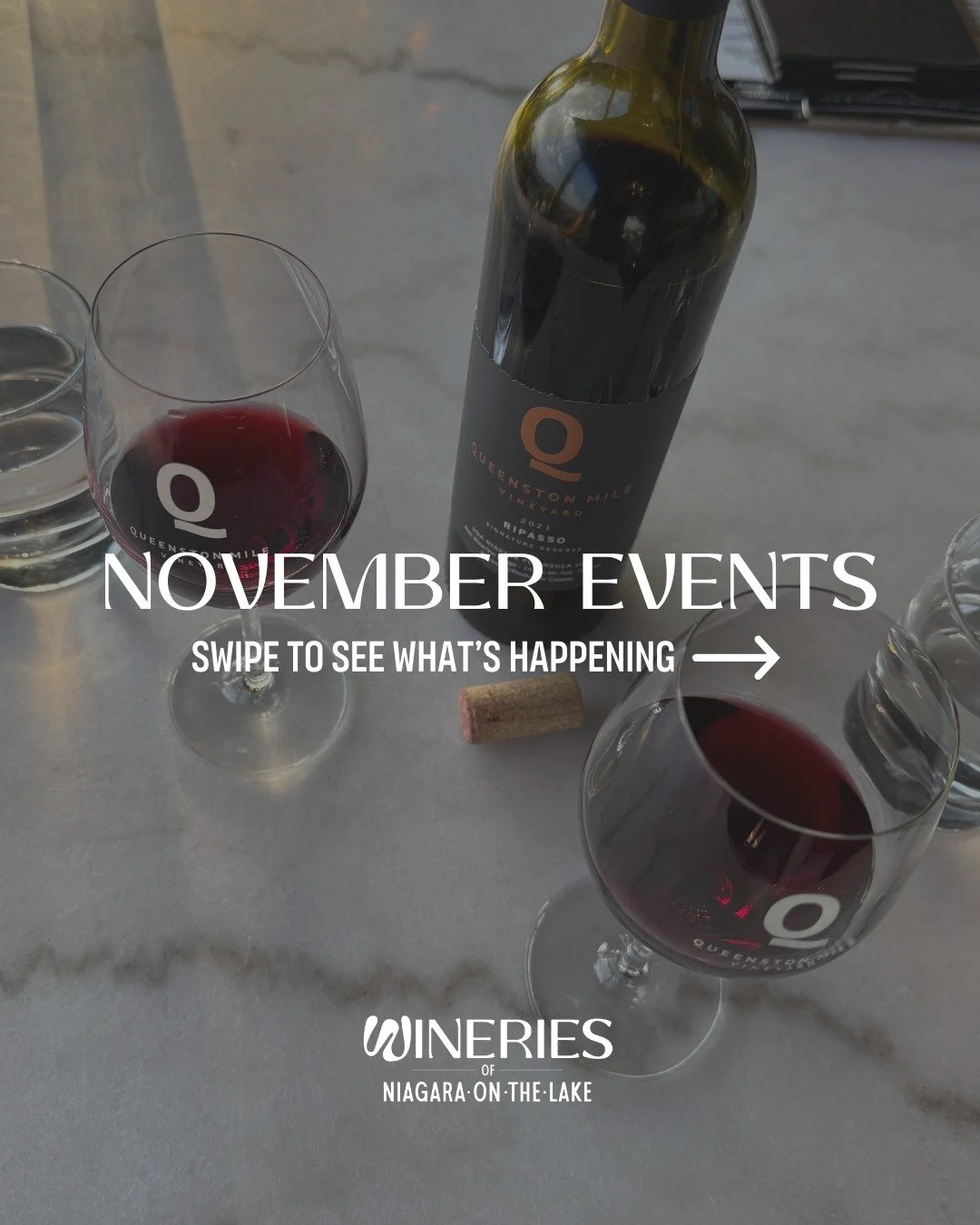 November brings new experiences to the Wineries of Niagara-on-the-Lake &mdash; from cozy tastings to festive events you won&rsquo;t want to miss. 

Explore what&rsquo;s happening this month at our wineries! 🍇