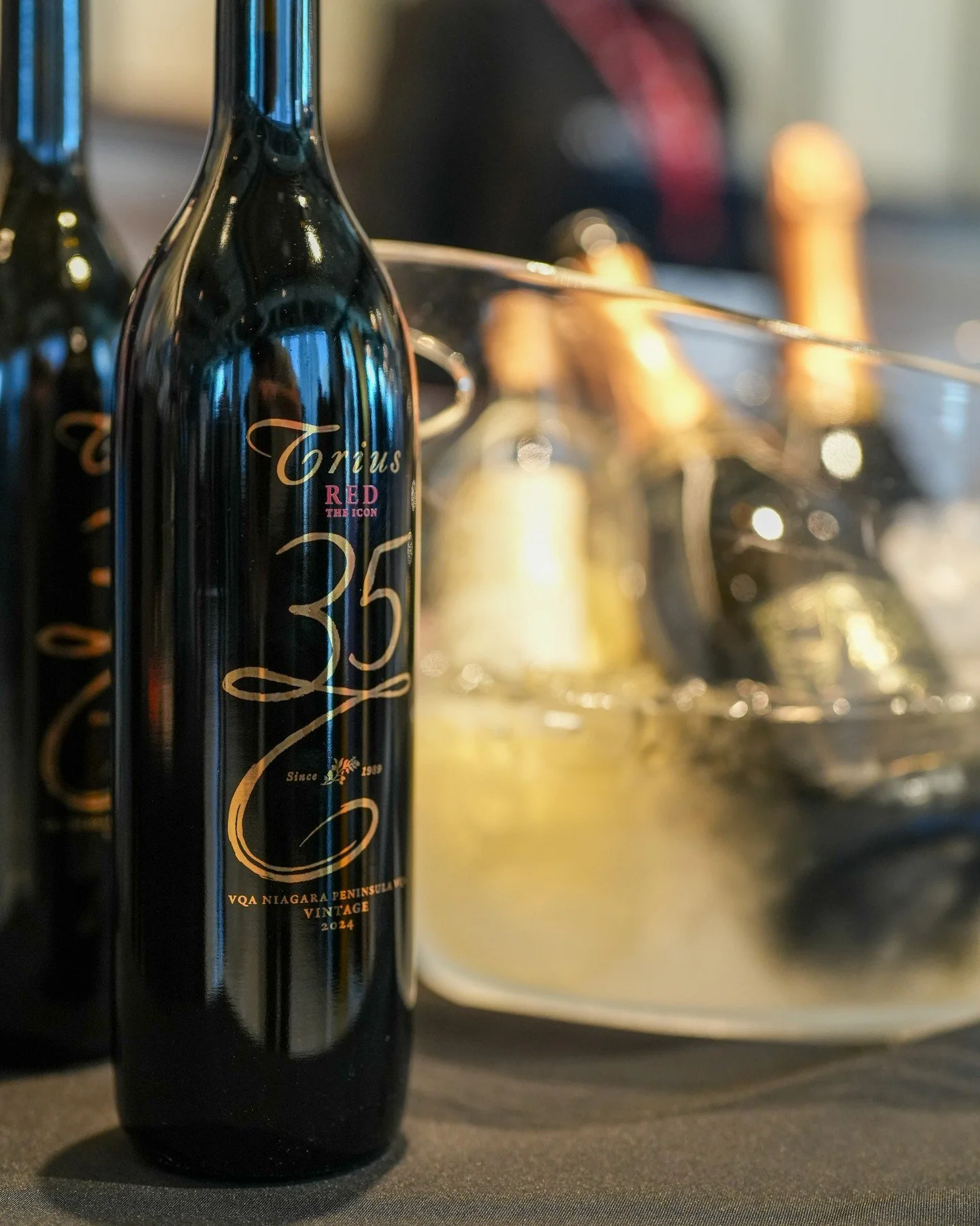 Some great NOTL representation at the @winecountryont showcase at @sipwineandspirits in Toronto this week

@triuswines
@chateaudescharmes
@reifestatewinery
@lakeviewwineco
@lailey_winery