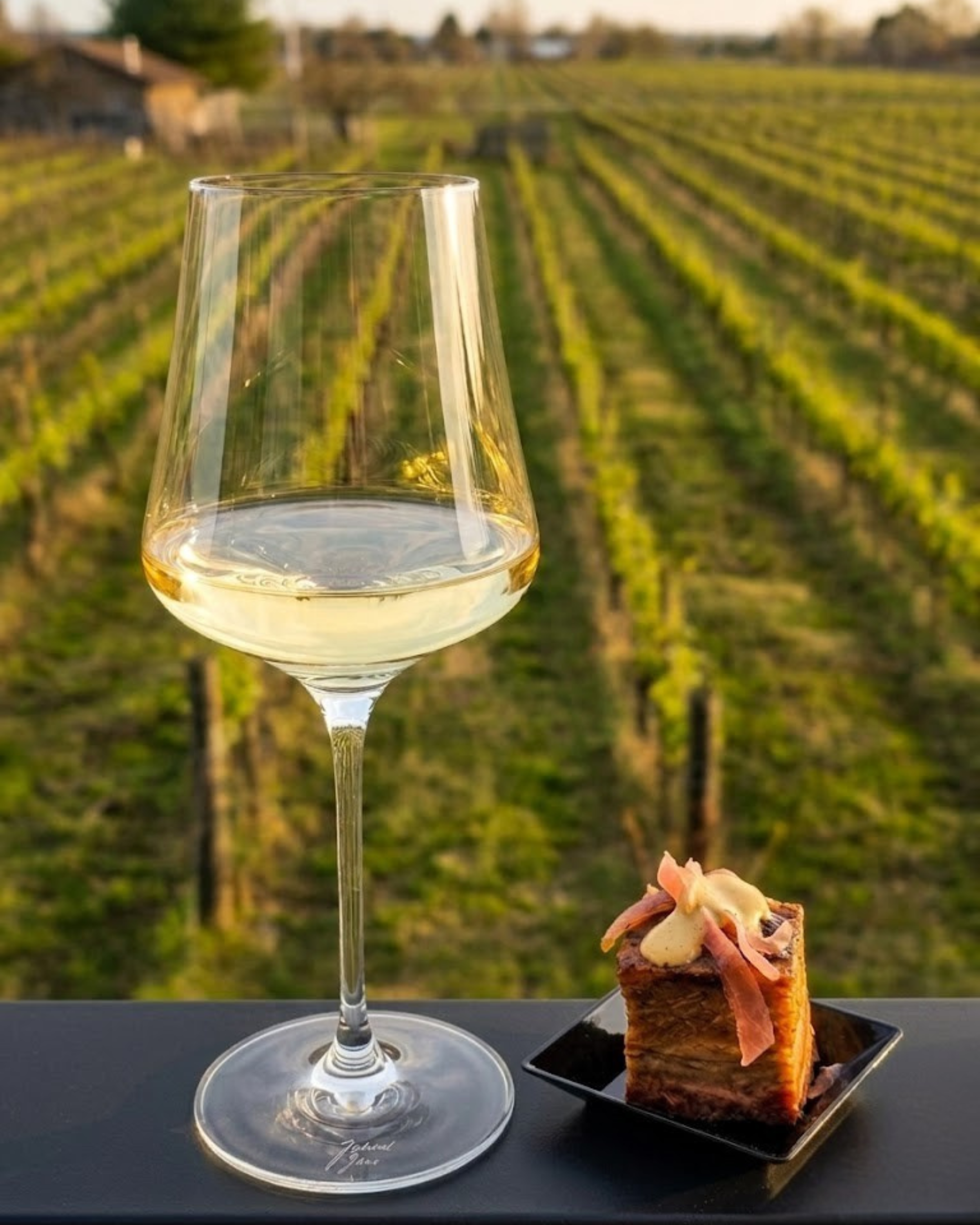 A glass of white wine and a piece of pork with a vineyard in the background