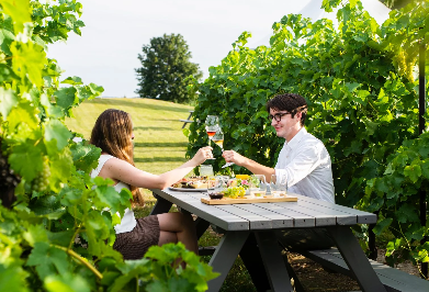 Inniskillin Winery | Wineries of Niagara-on-the-Lake — Wineries of ...