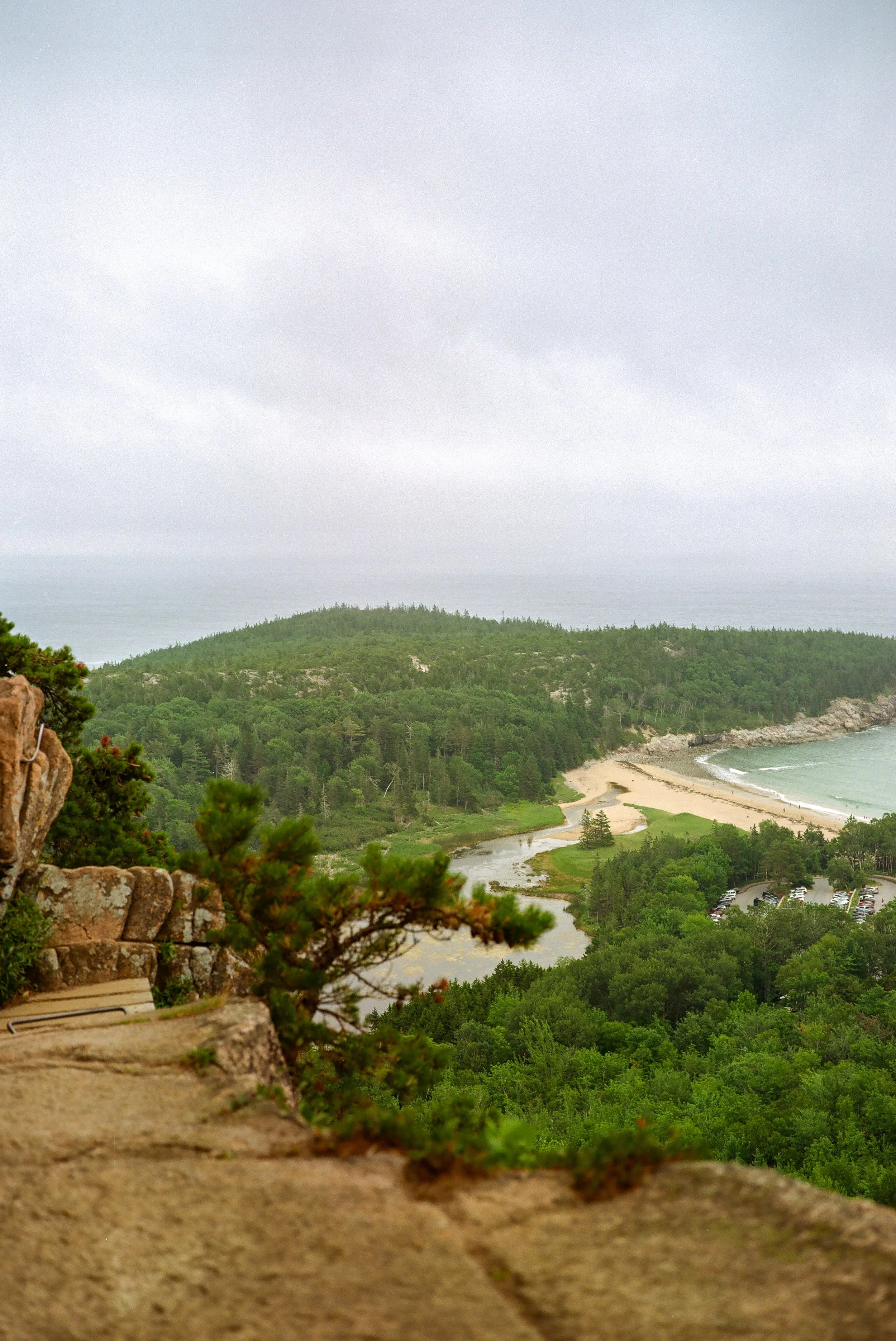 000022480002 (1).jpg