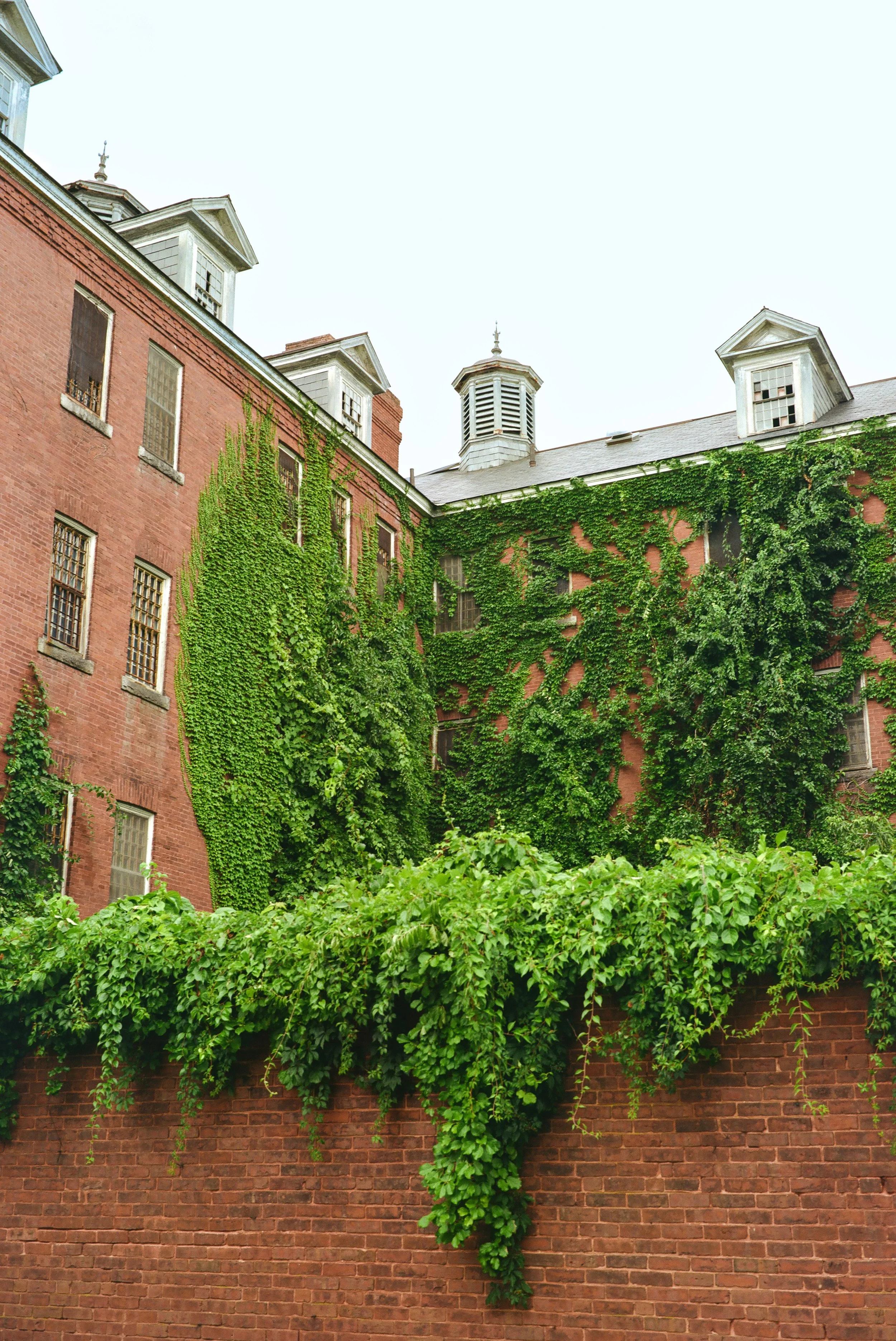 000022500004 (1).jpg