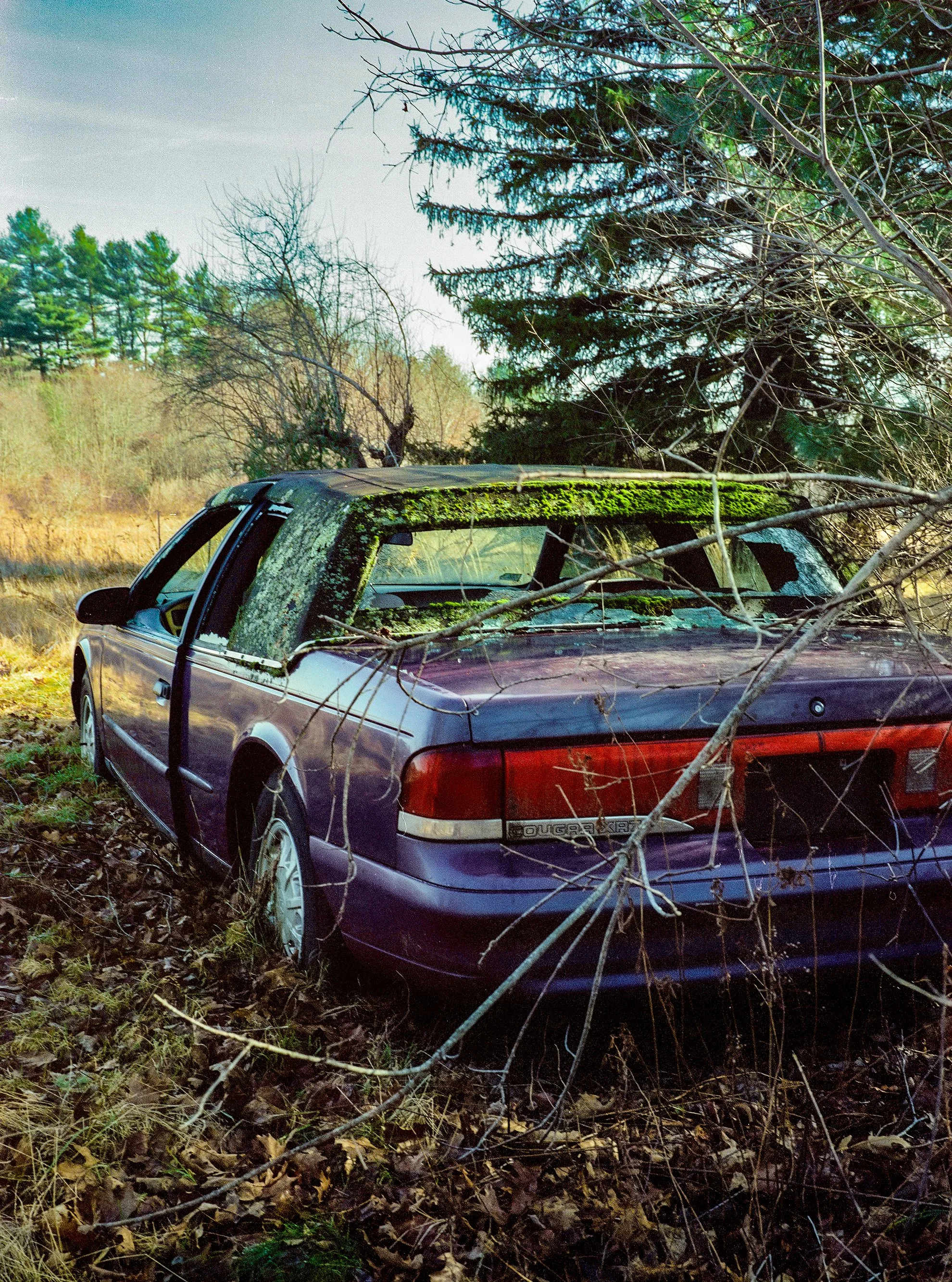 000030680008 (1).jpg