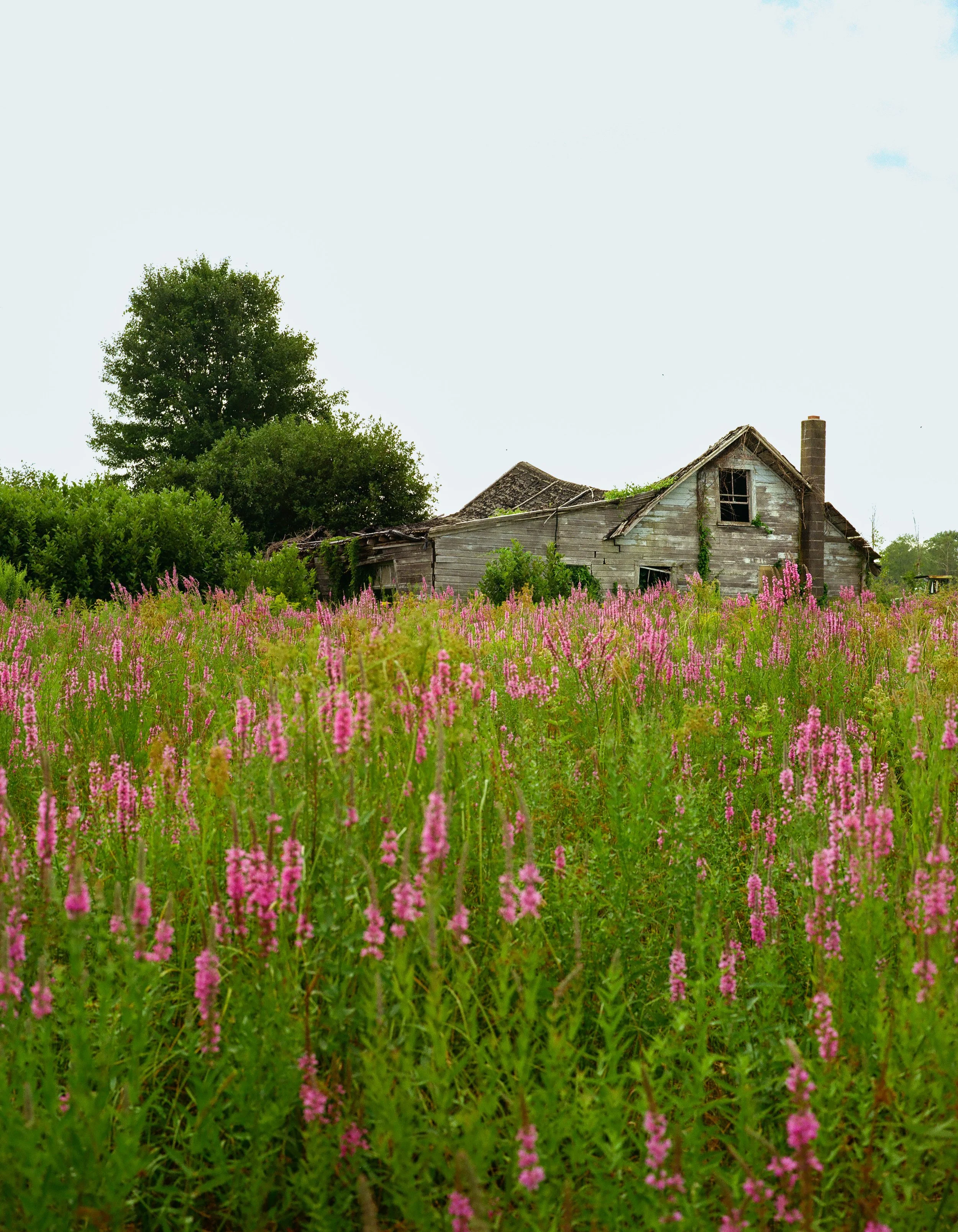 000022510002 (1).jpg