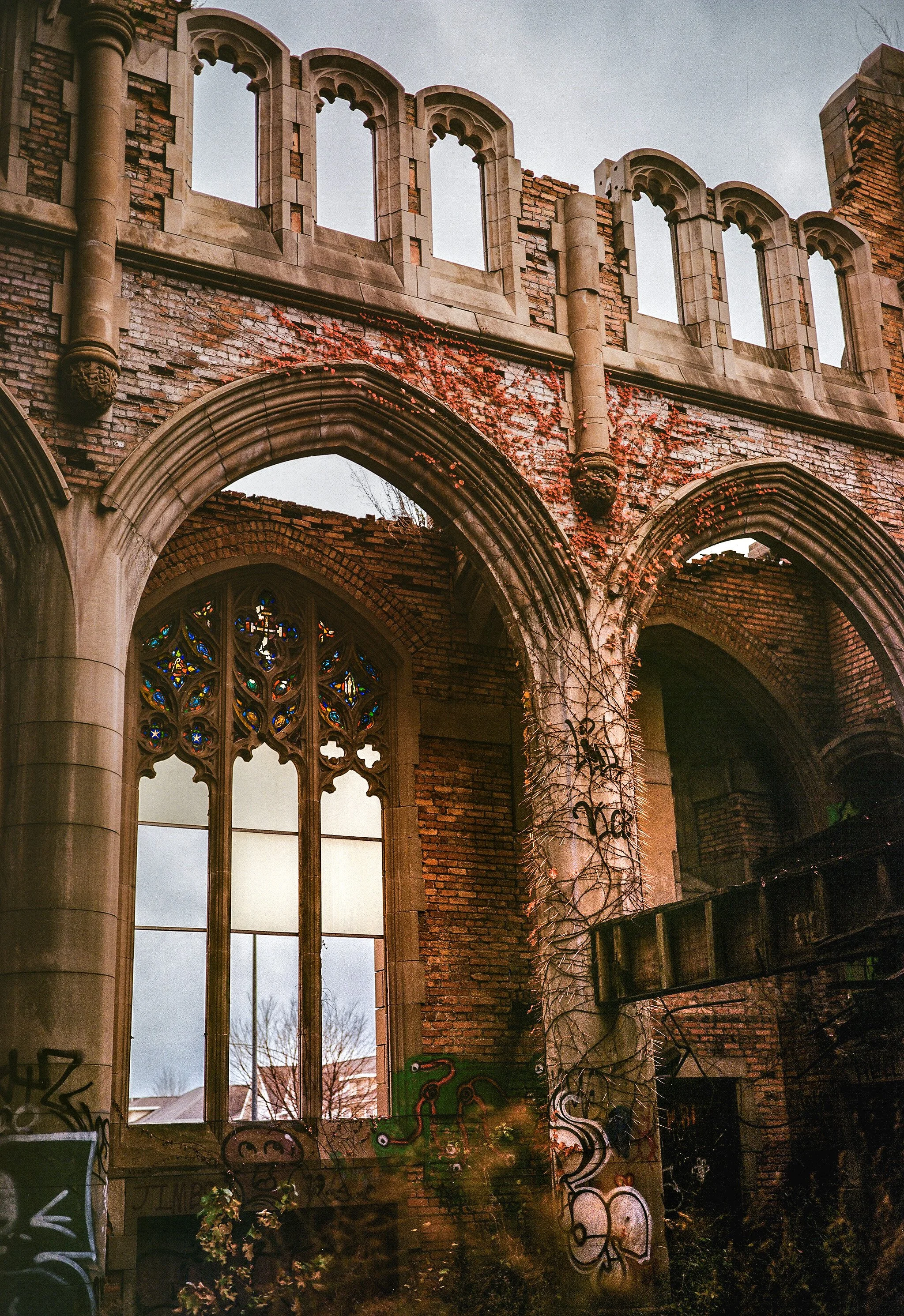 000030700006 (1).jpg