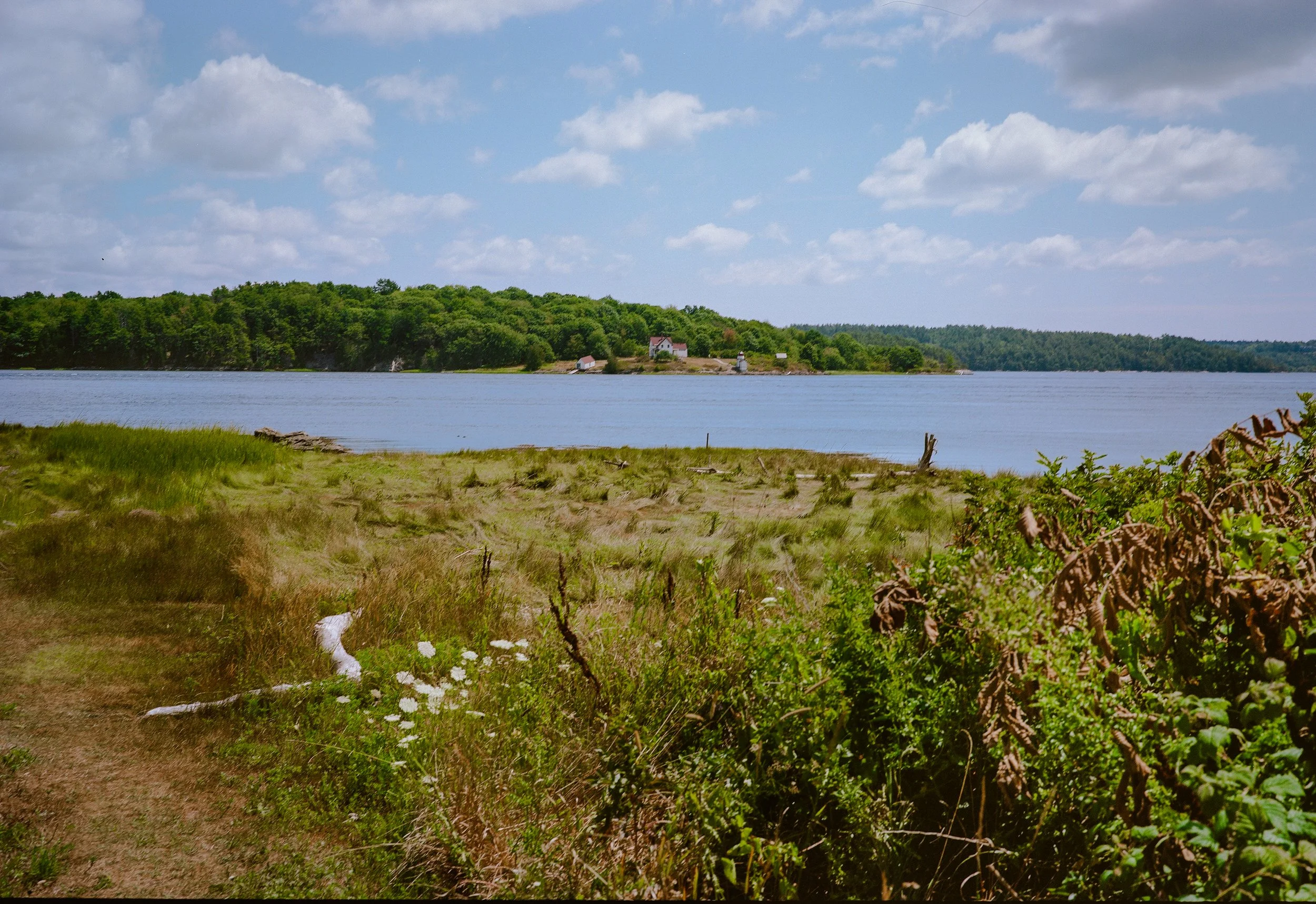 Analogue 6x9 120mm