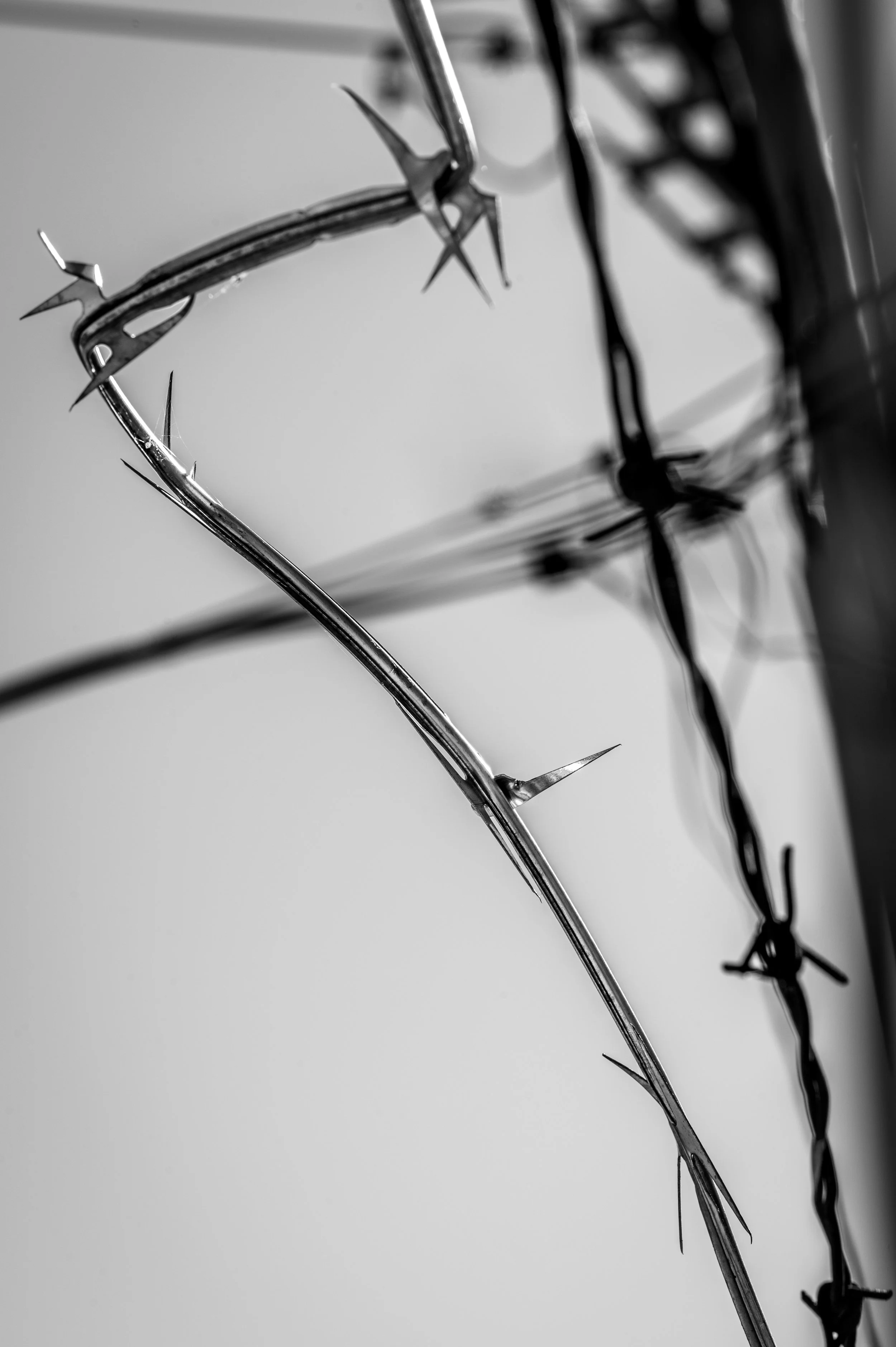 DSC_8700.jpg