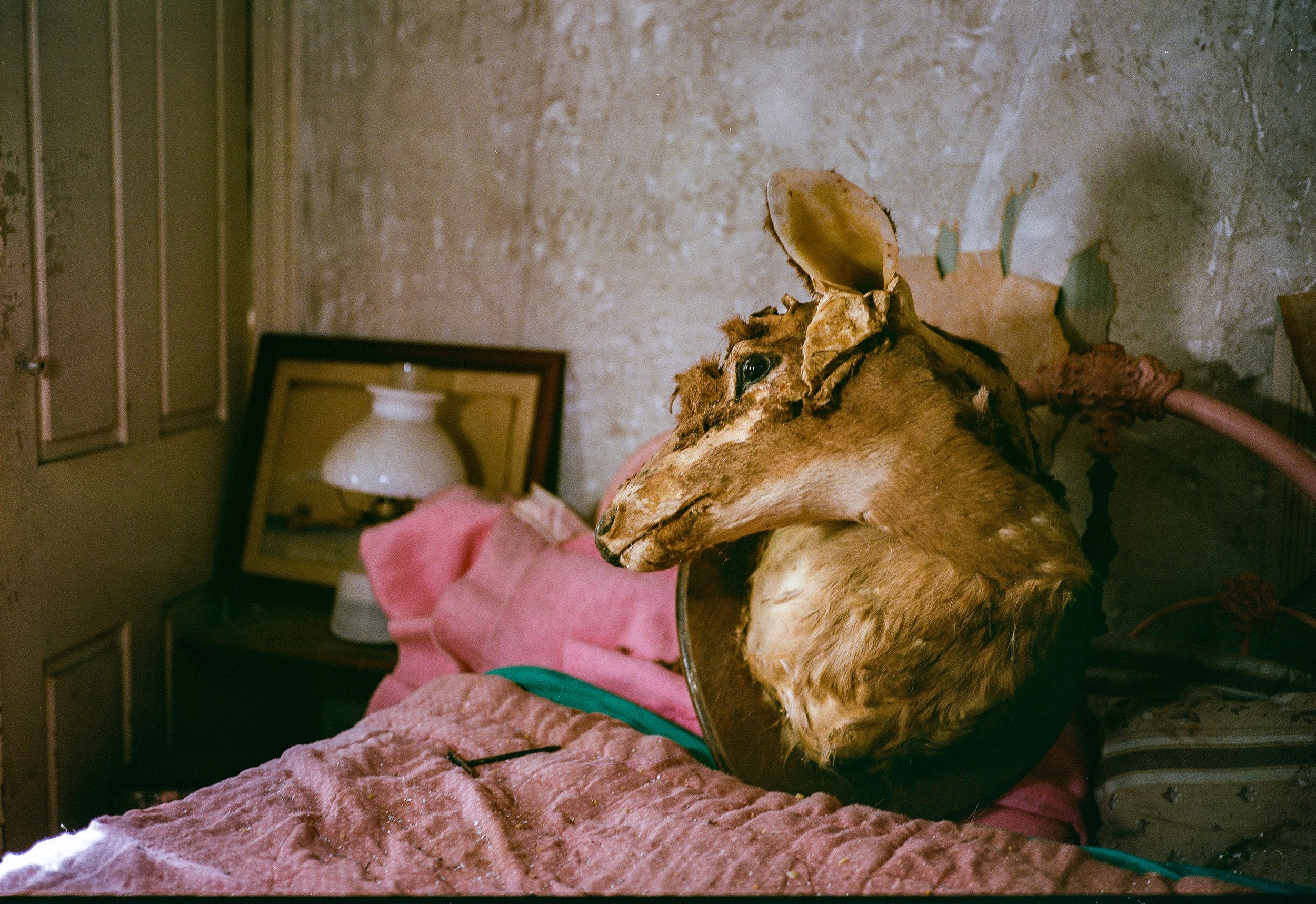 000030690005 (1).jpg