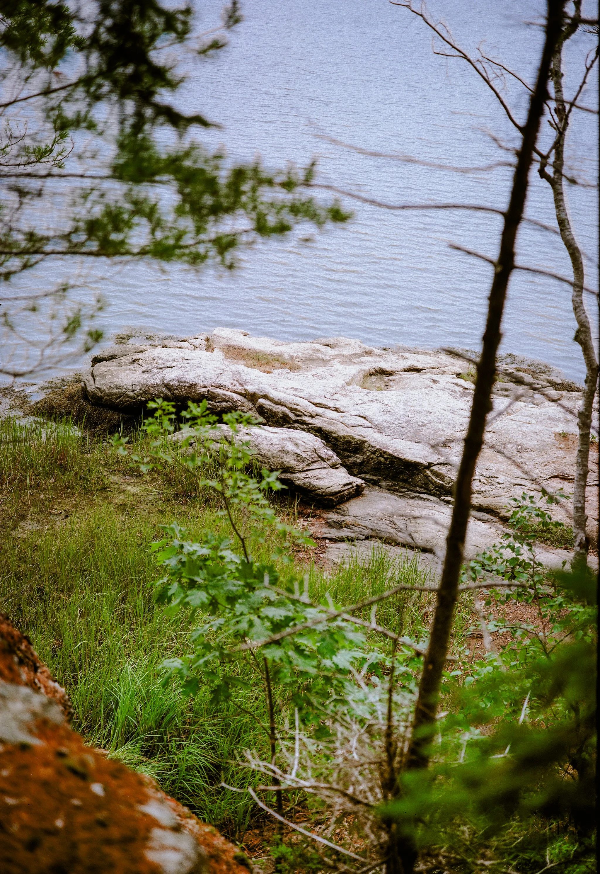 Analogue 6x9 120mm