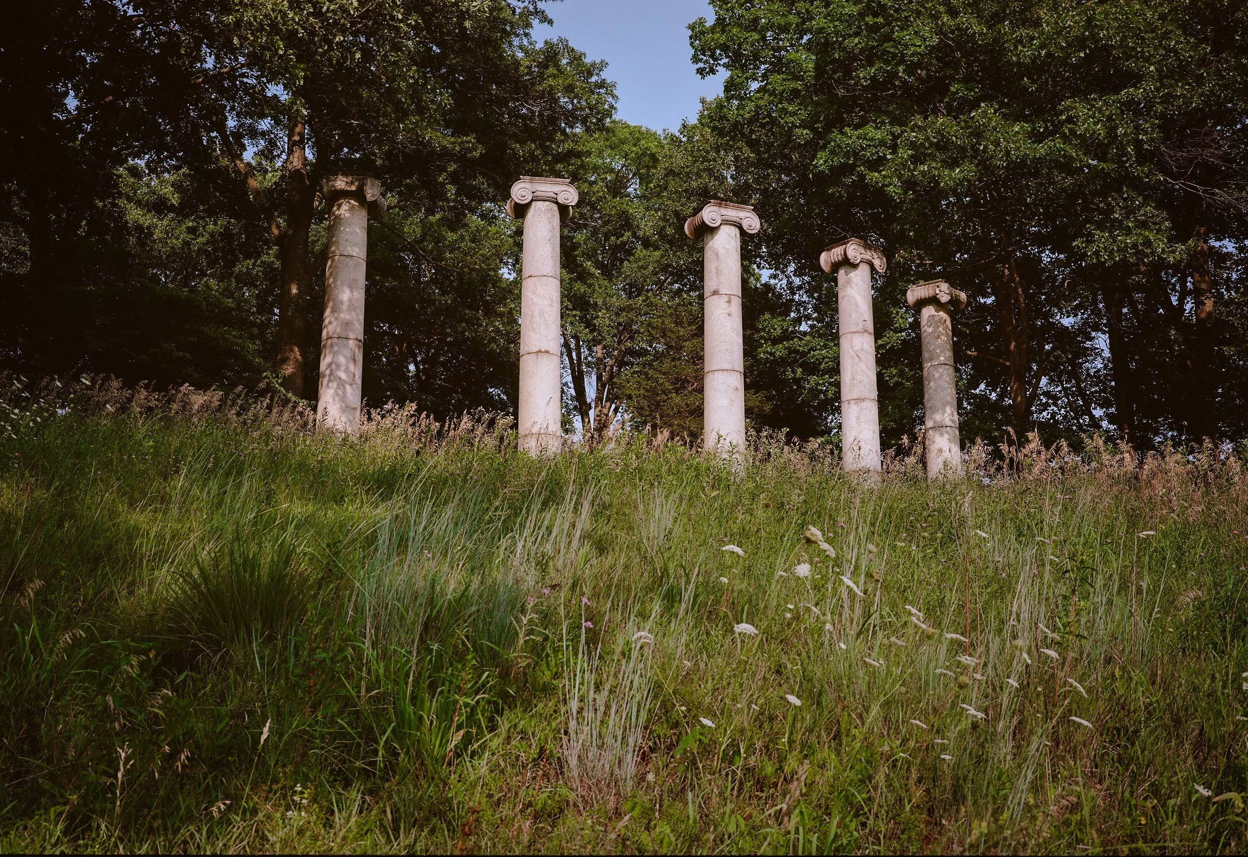Analogue 6x9 120mm