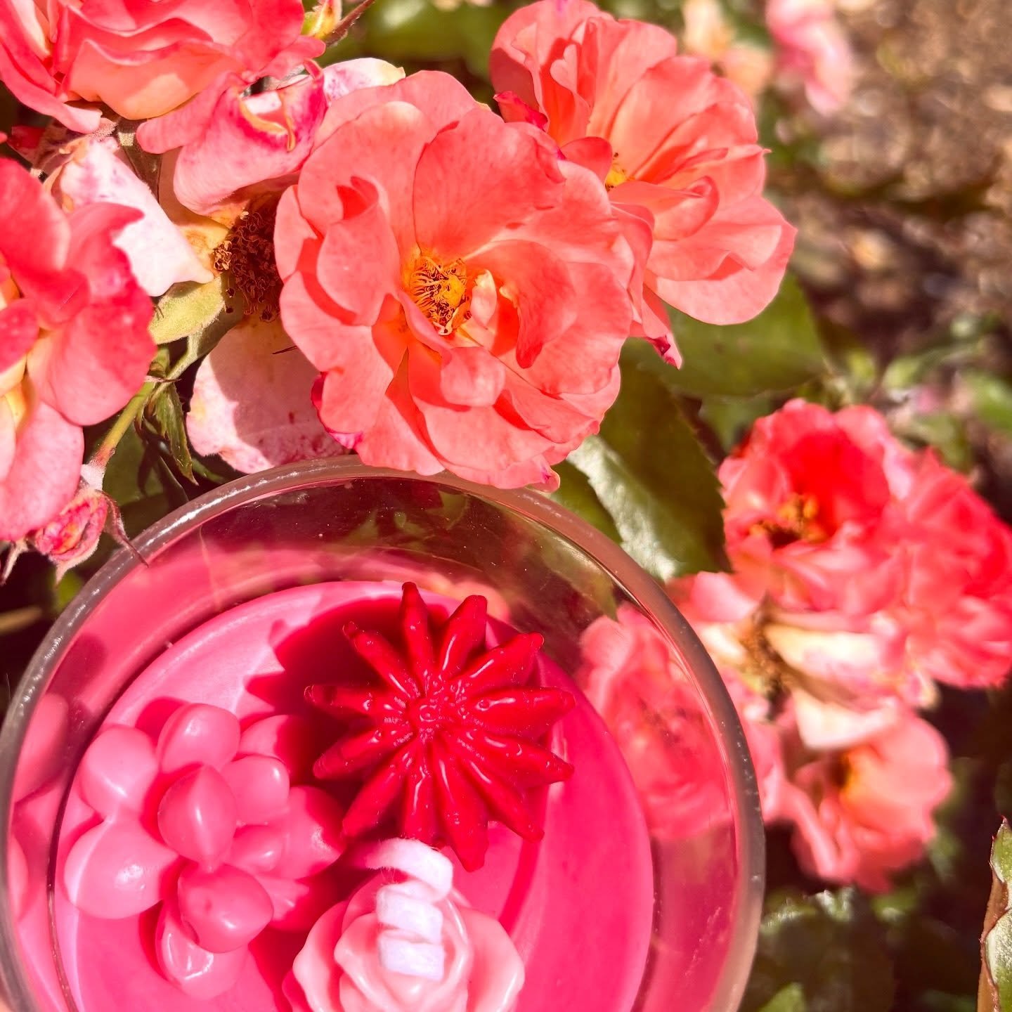 🌸spring is our favorite season🌸